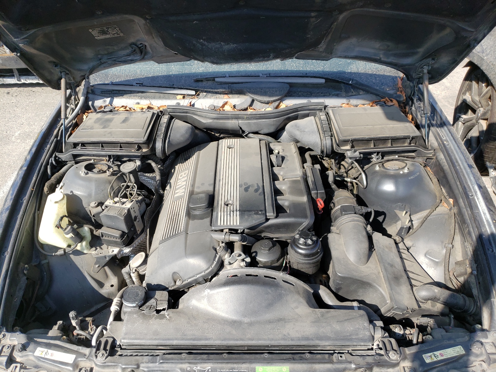 Photo 7 from auction – 2003 BMW 530 I AUTO with VIN WBADT63433CK37608