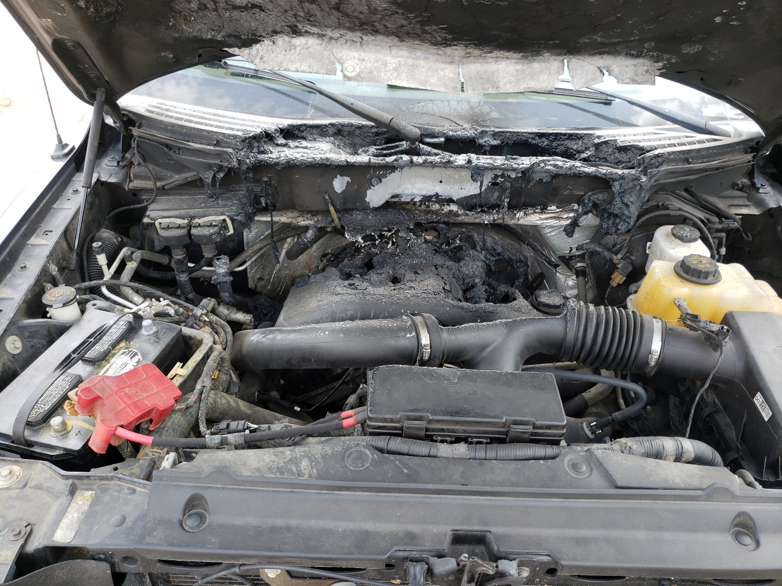Photo 7 from auction – 2013 FORD F150 SUPER with VIN 1FTFW1ET5DKF19587