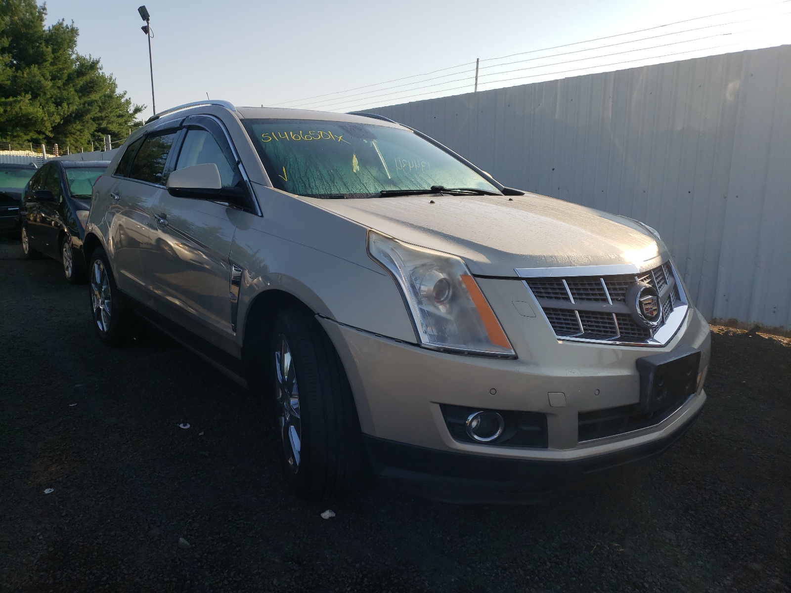 CADILLAC SRX PREMIU 2010 with VIN 3GYFNFEY3AS502244 - Photo from auction