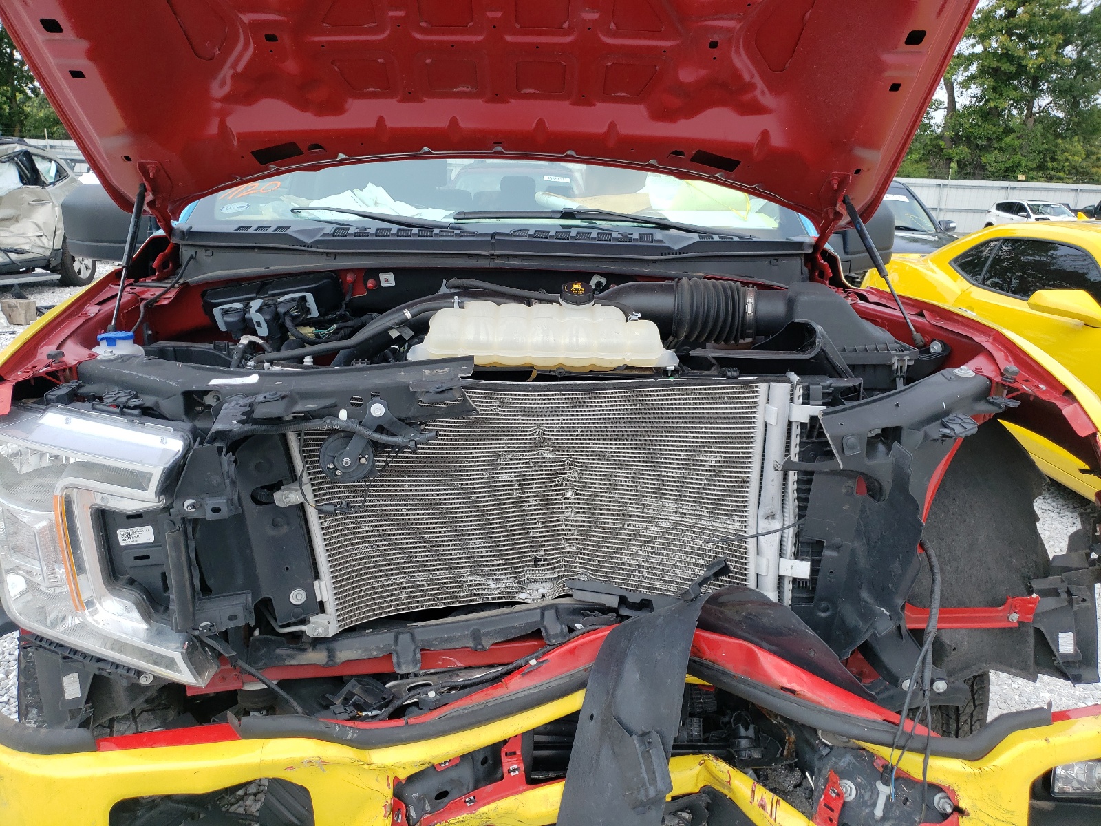 Photo 7 from auction – 2019 FORD F150 SUPER with VIN 1FTEW1EP4KKF02064
