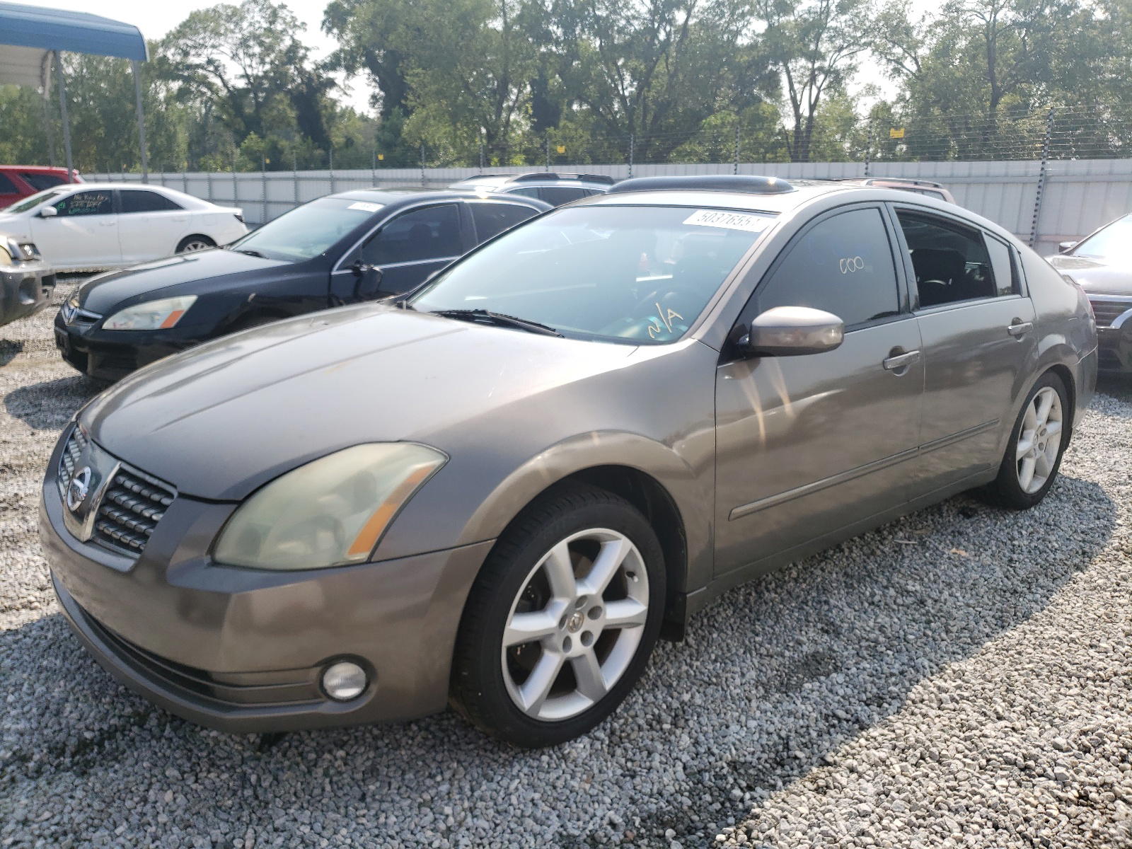Photo 2 from auction – 2005 NISSAN MAXIMA SE with VIN 1N4BA41E85C854138