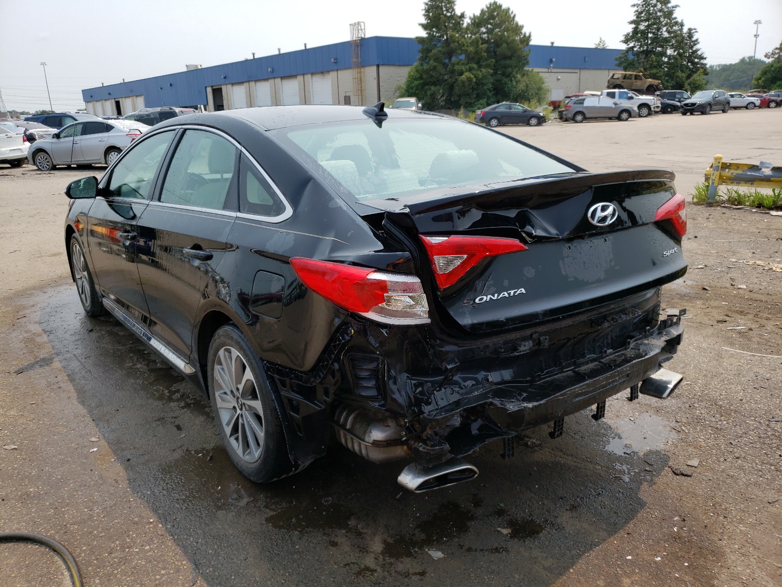 Photo 3 from auction – 2016 HYUNDAI SONATA SPO with VIN 5NPE34AF4GH285919