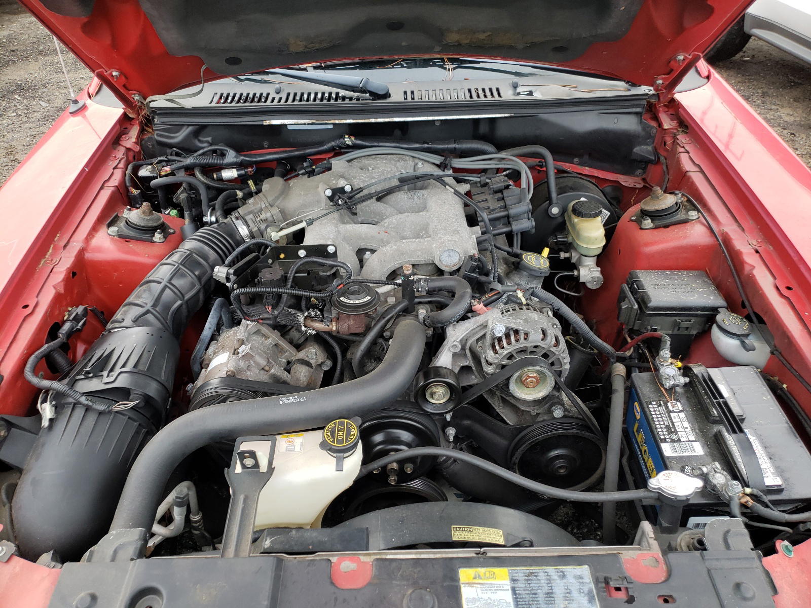 Photo 7 from auction – 2003 FORD MUSTANG with VIN 1FAFP44473F398177