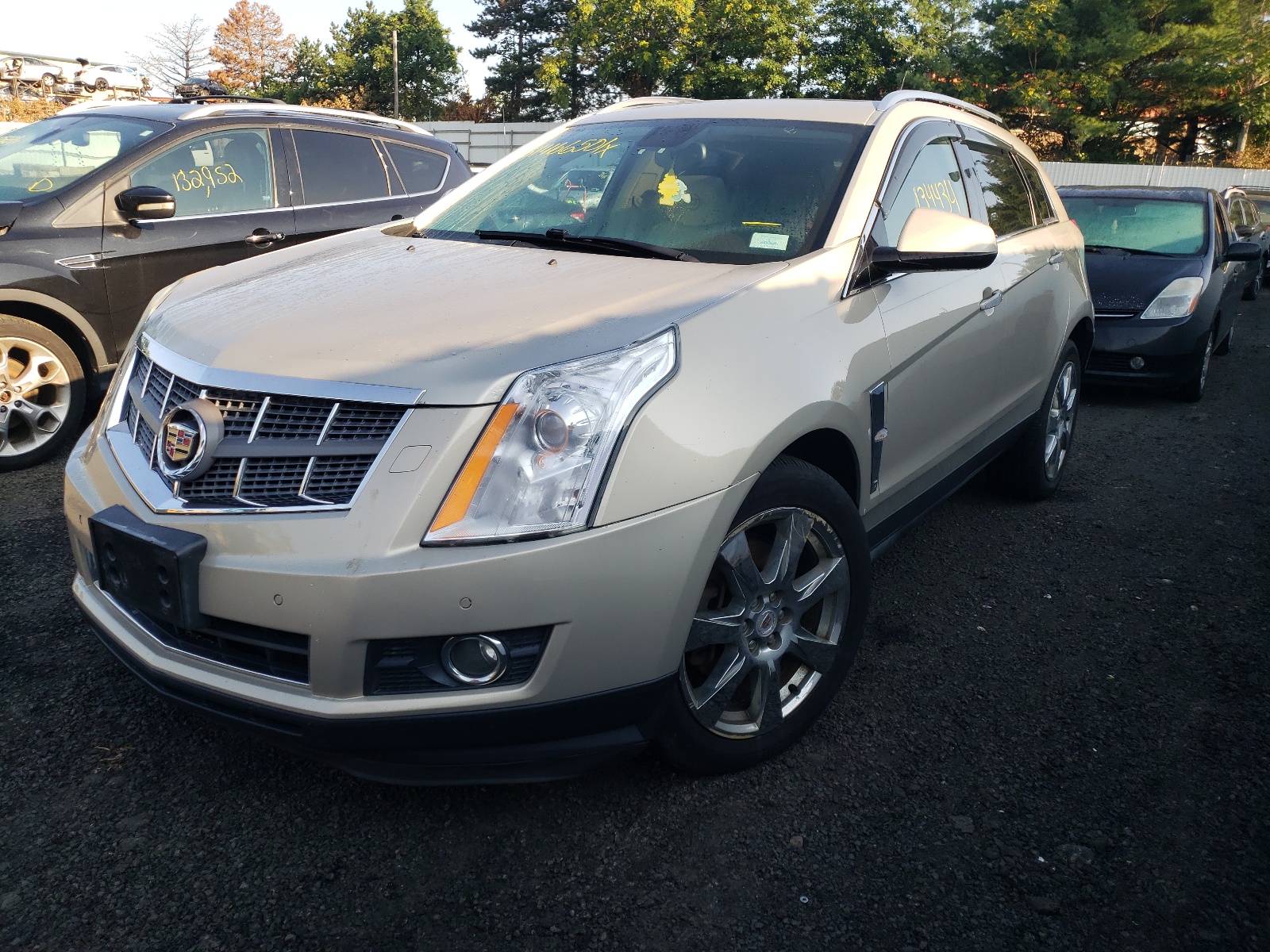 Photo 2 from auction – 2010 CADILLAC SRX PREMIU with VIN 3GYFNFEY3AS502244