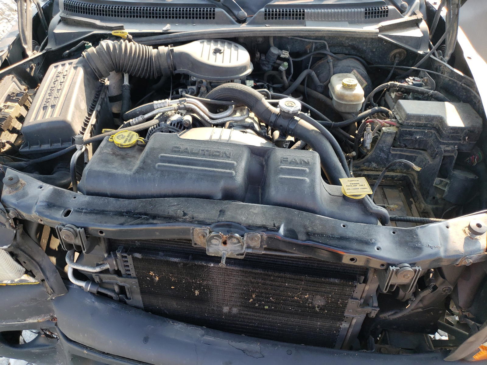 Photo 7 from auction – 2000 DODGE DAKOTA with VIN 1B7GG22X3YS777918
