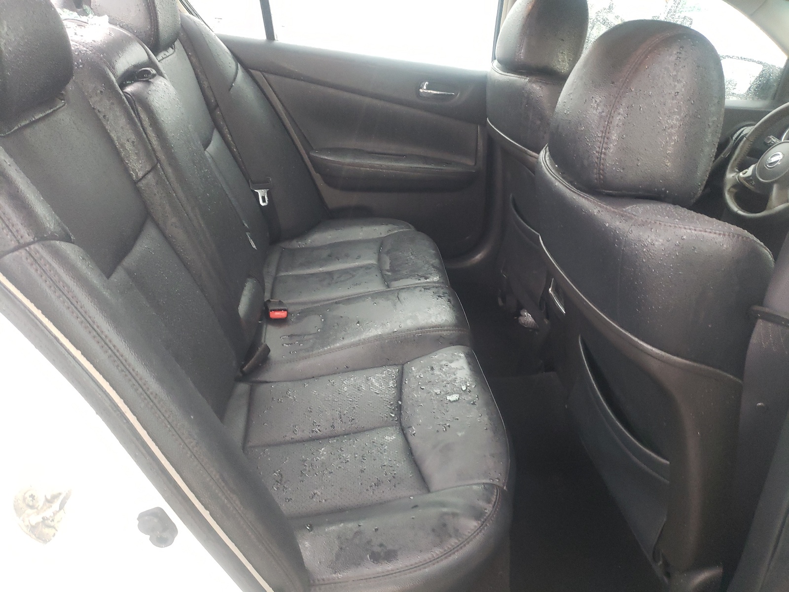 Фото 6 с аукциона – 2011 NISSAN MAXIMA S с VIN 1N4AA5APXBC864636