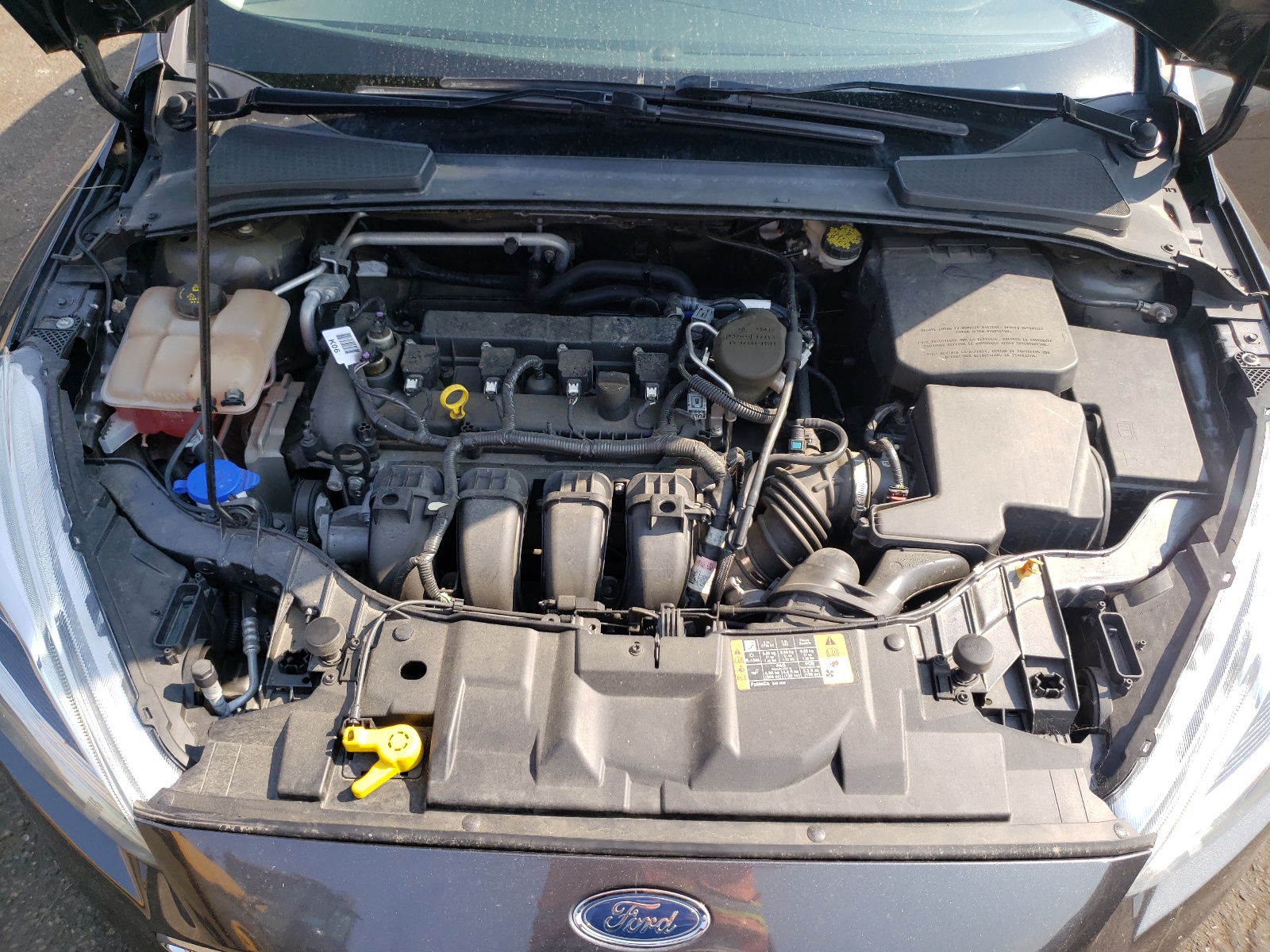 Photo 7 from auction – 2016 FORD FOCUS TITA with VIN 1FADP3J2XGL292060