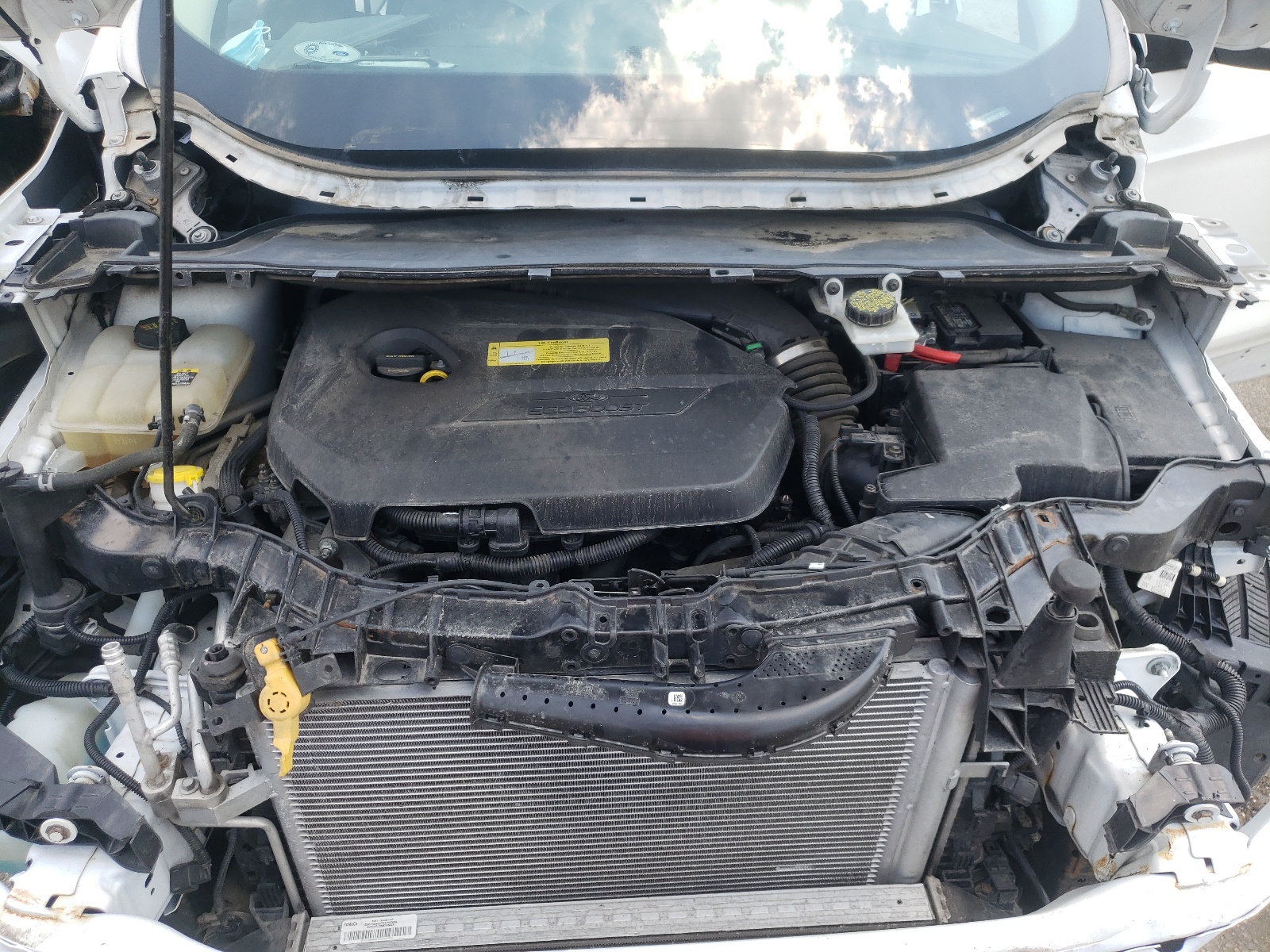Photo 7 from auction – 2013 FORD ESCAPE SE with VIN 1FMCU0GX0DUB93314