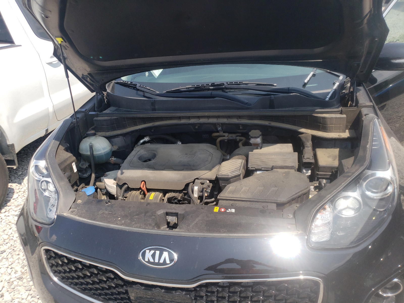 Photo 7 from auction – 2017 KIA SPORTAGE E with VIN KNDPNCAC8H7125910