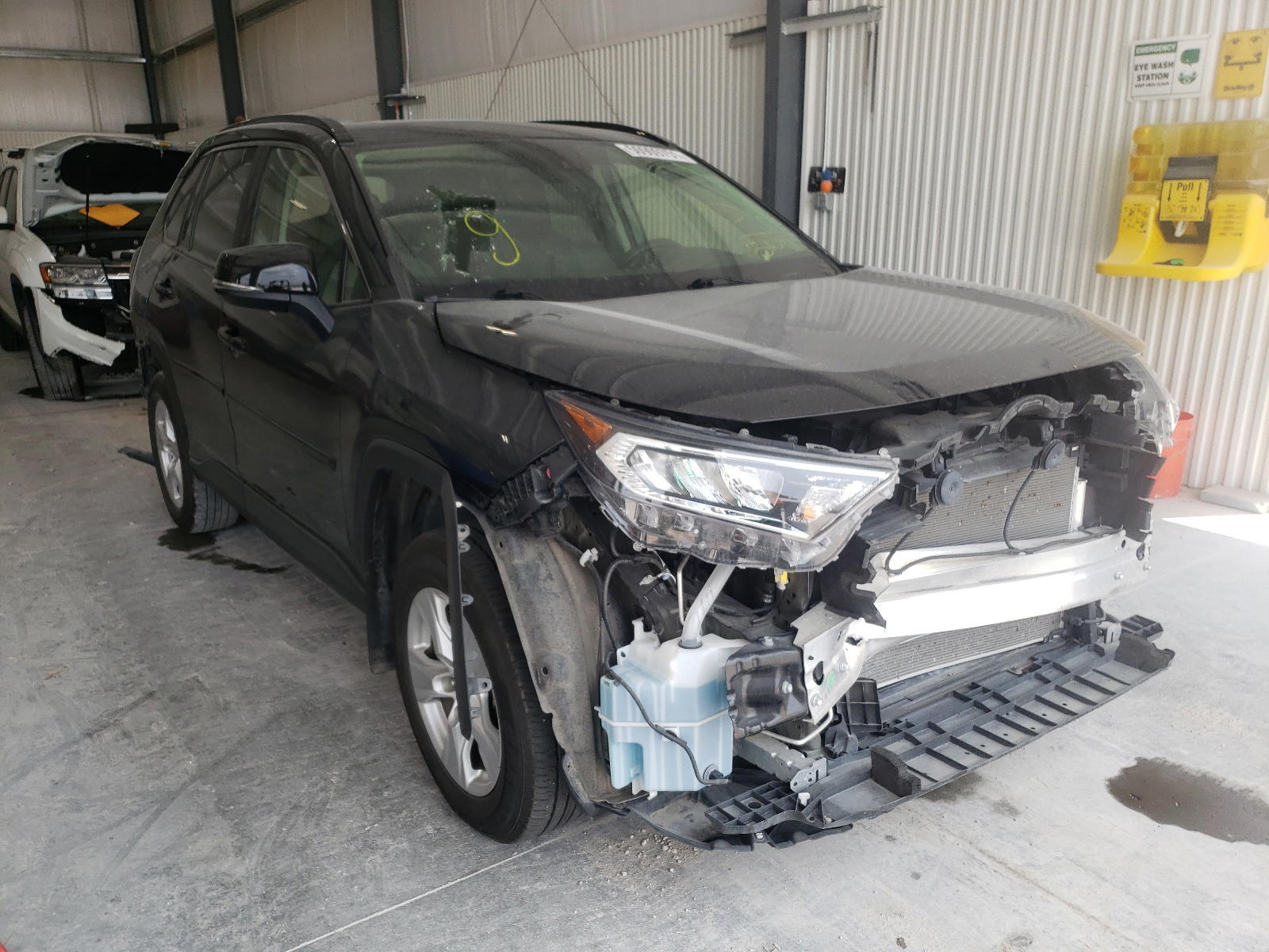 TOYOTA RAV4 XLE 2019 with VIN JTMP1RFV9KD005101 - Photo from auction