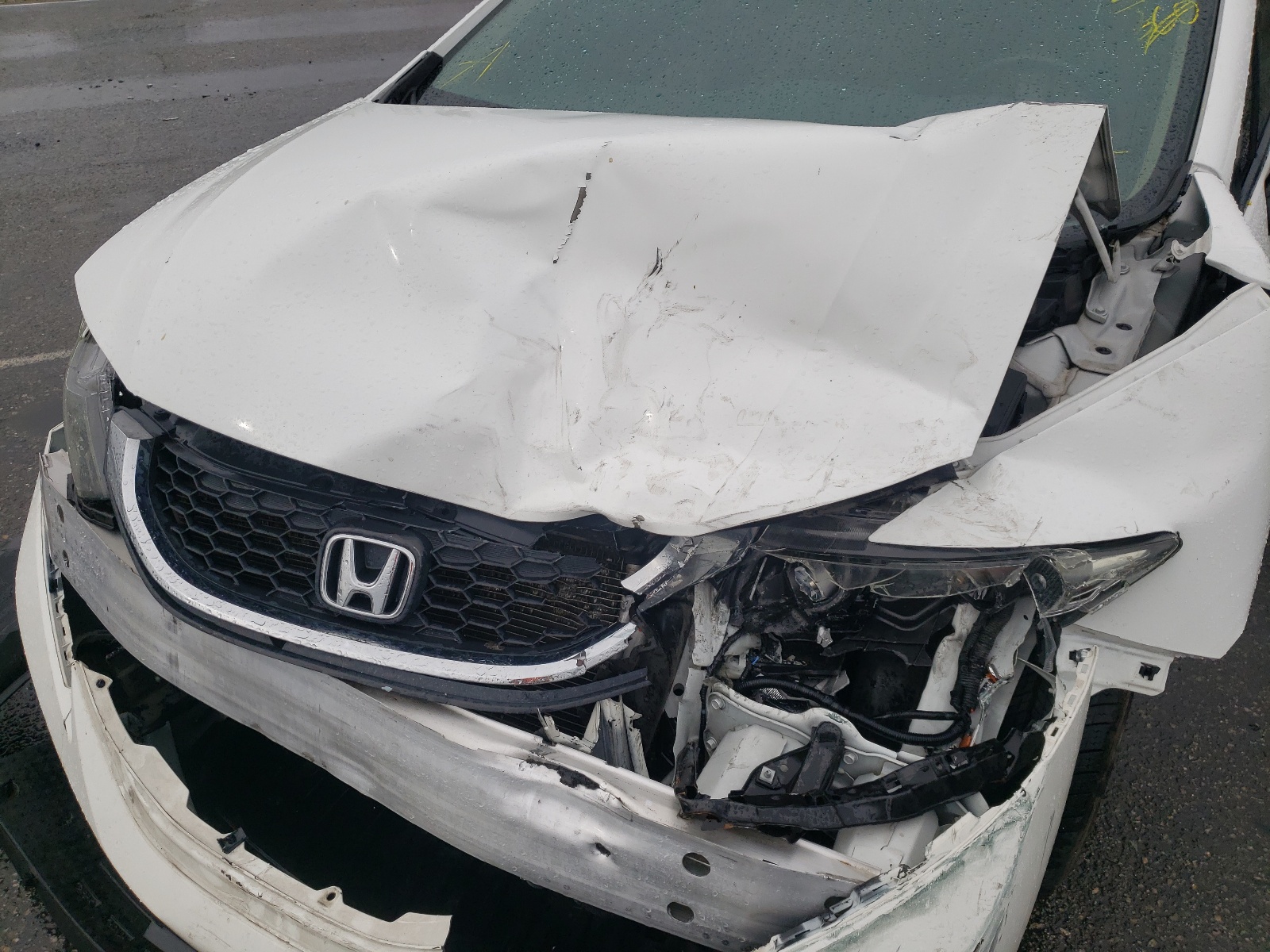 Photo 9 from auction – 2015 HONDA CIVIC LX with VIN 19XFB2F5XFE276009