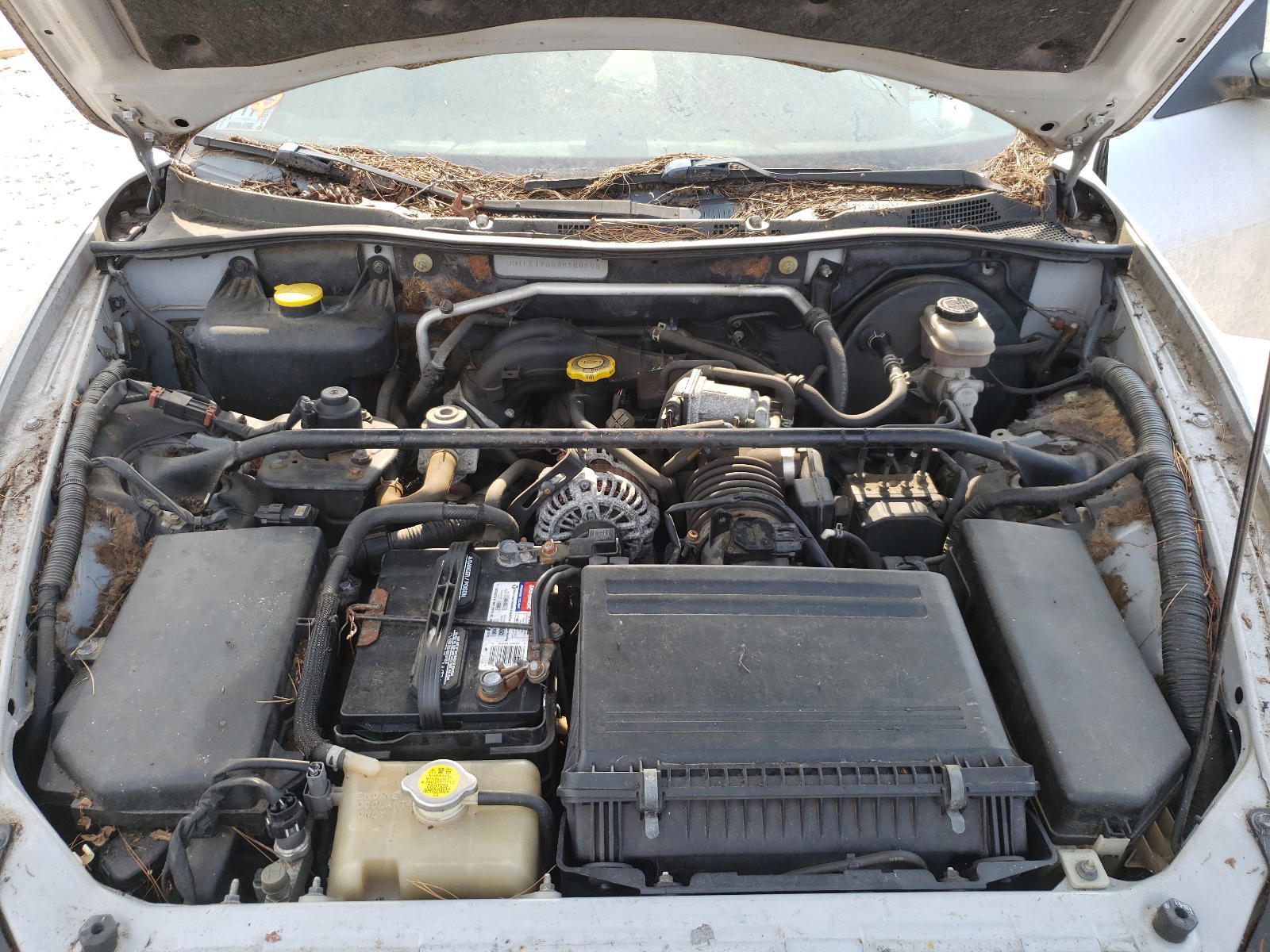 Photo 7 from auction – 2004 MAZDA RX8 with VIN JM1FE173840100998