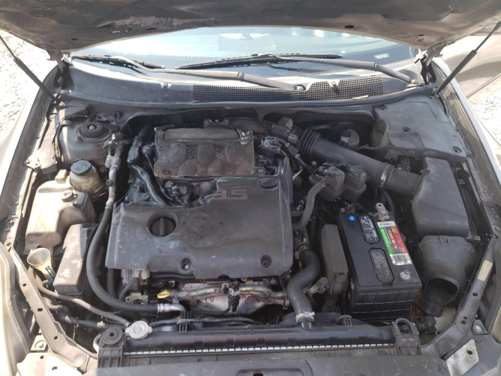 Photo 7 from auction – 2005 NISSAN MAXIMA SE with VIN 1N4BA41E85C854138
