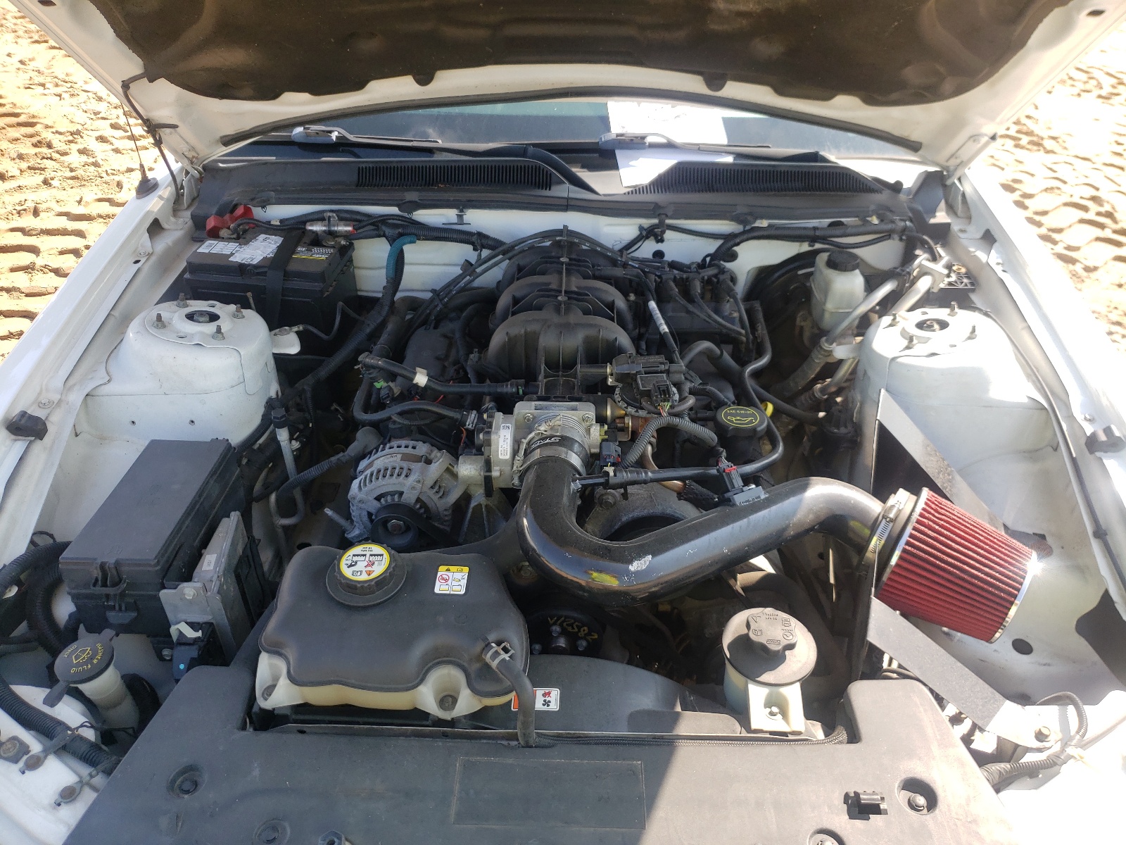 Photo 7 from auction – 2009 FORD MUSTANG with VIN 1ZVHT80N895115155