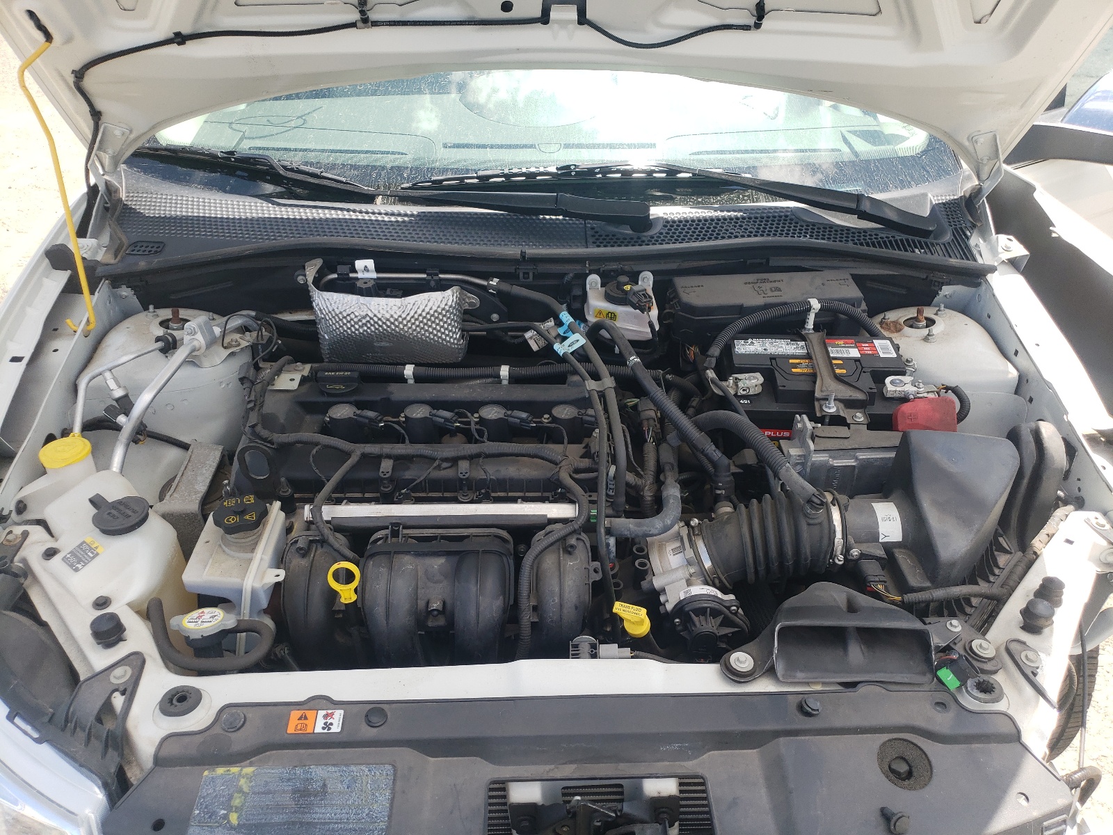 Photo 7 from auction – 2010 FORD FOCUS SEL with VIN 1FAHP3HN7AW163832