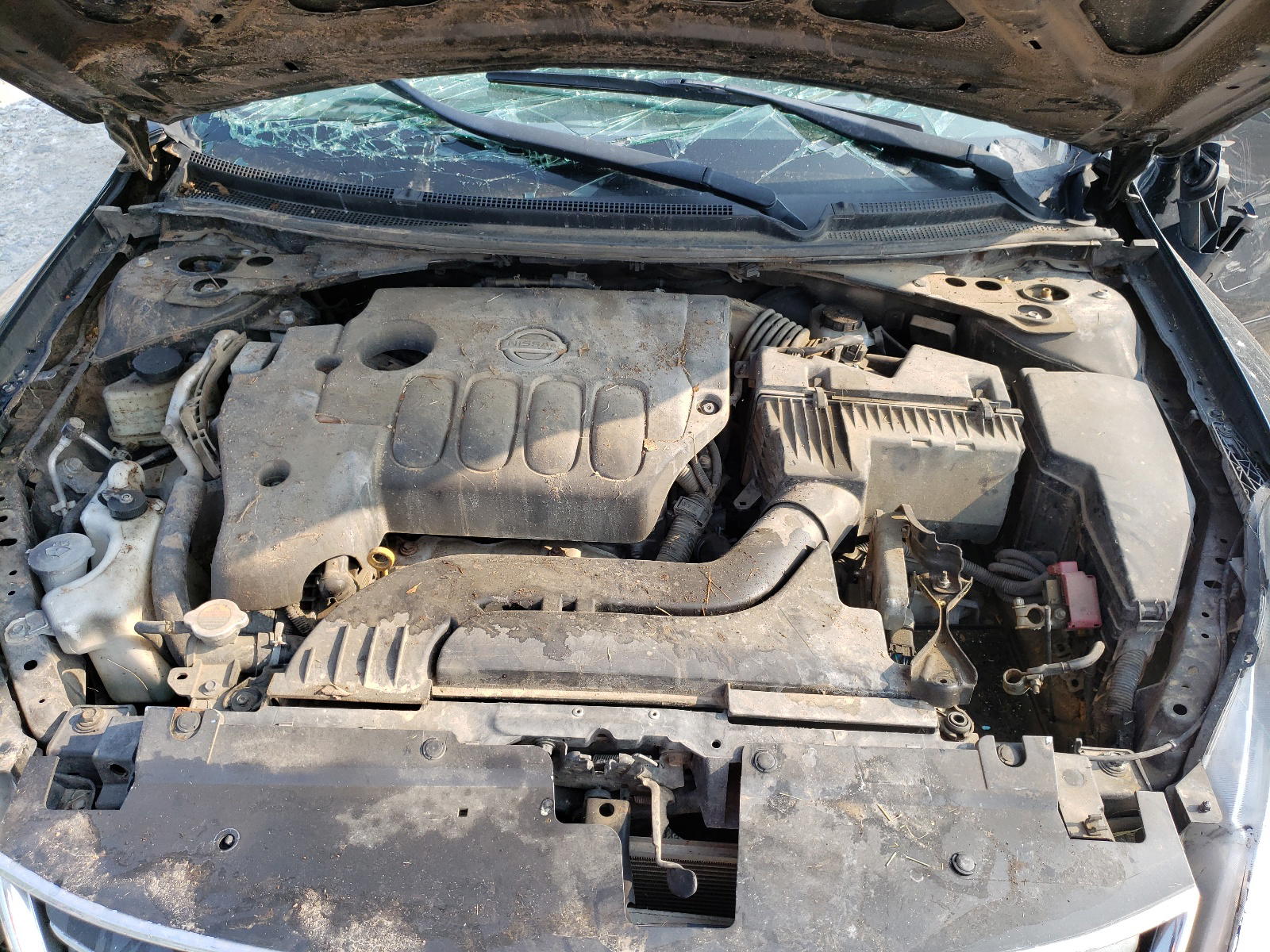 Photo 7 from auction – 2010 NISSAN ALTIMA BAS with VIN 1N4AL2AP0AC137979