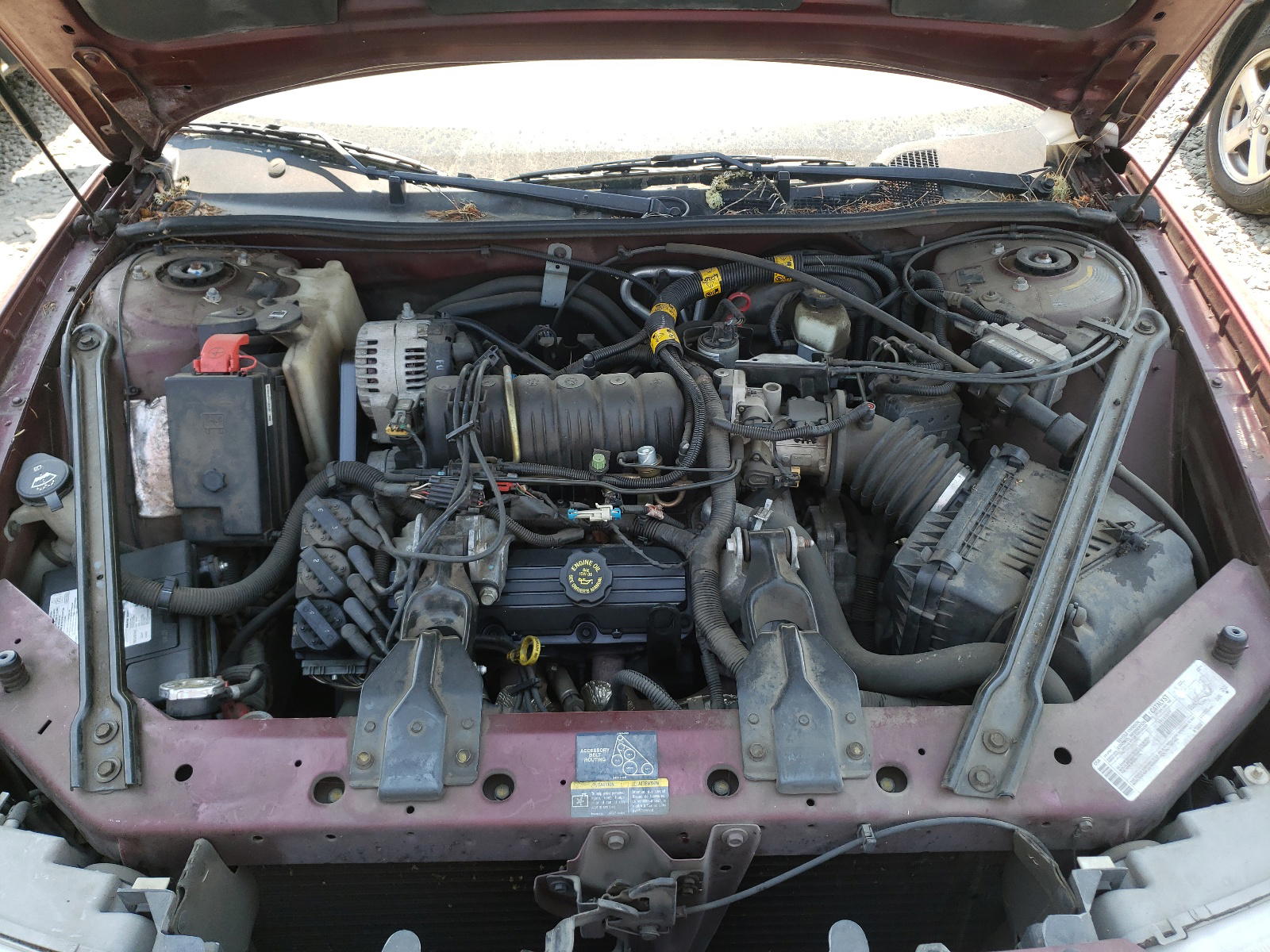 Photo 7 from auction – 2002 BUICK REGAL LS with VIN 2G4WB55KX21215416