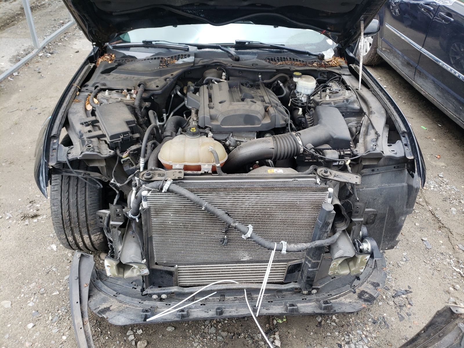 Photo 7 from auction – 2015 FORD MUSTANG with VIN 1FA6P8THXF5345432