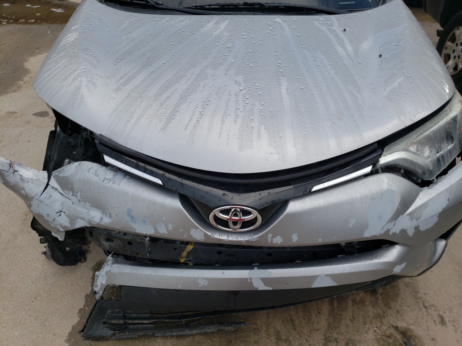 Photo 7 from auction – 2016 TOYOTA RAV4 LE with VIN 2T3ZFREV5GW277621