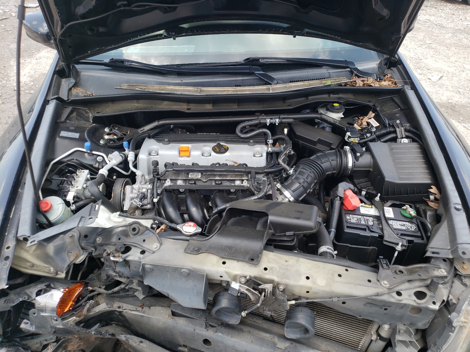 Photo 7 from auction – 2011 HONDA ACCORD EXL with VIN 1HGCP2F8XBA074929