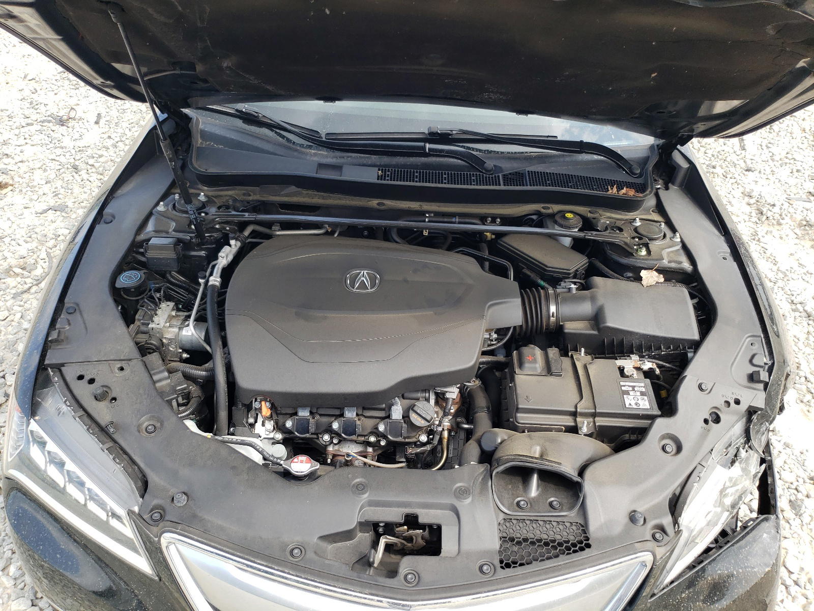 Photo 7 from auction – 2017 ACURA TLX TECH with VIN 19UUB2F53HA006800