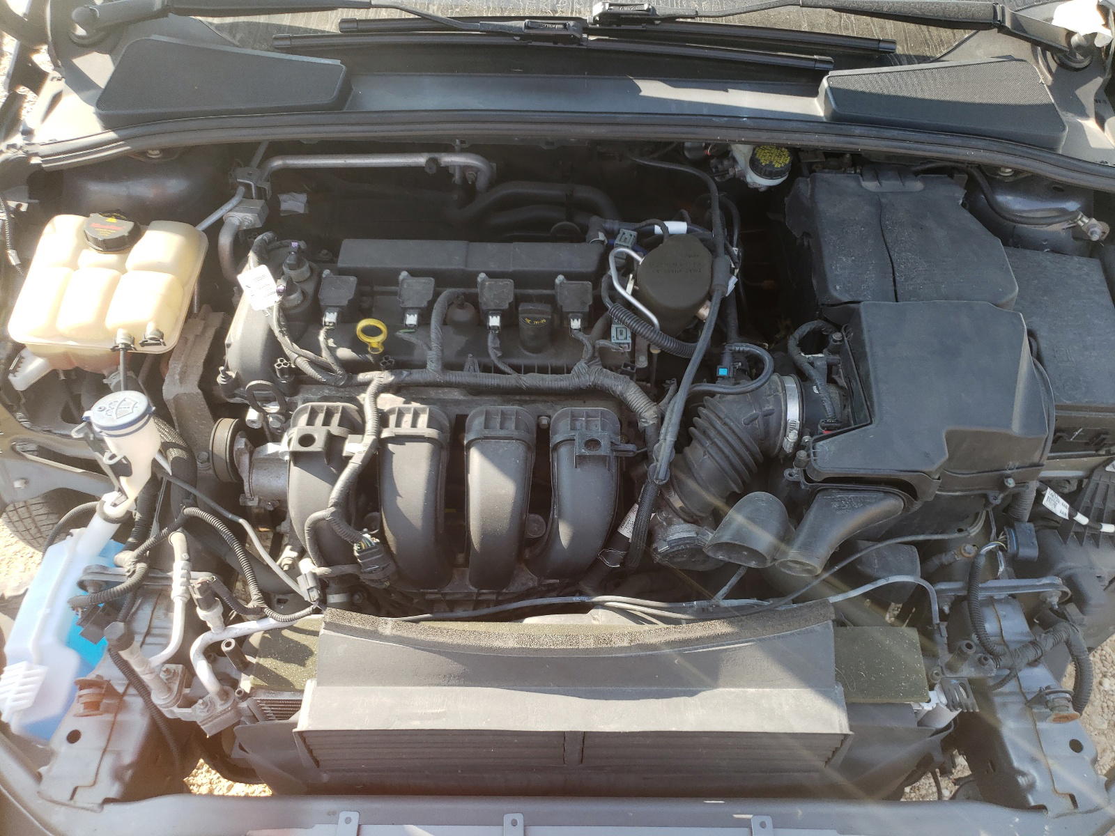 Photo 7 from auction – 2016 FORD FOCUS SE with VIN 1FADP3F29GL238144