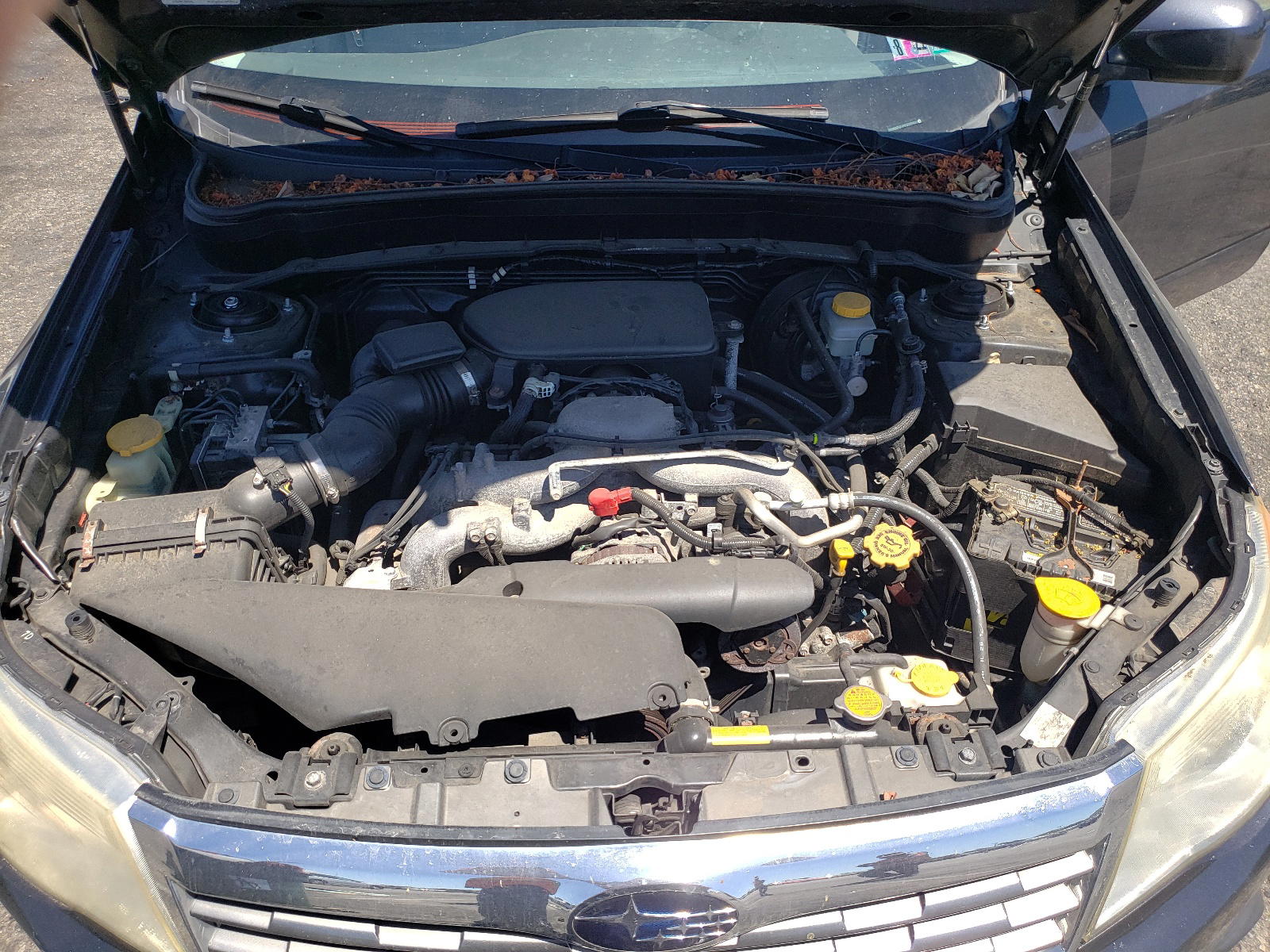 Photo 7 from auction – 2010 SUBARU FORESTER 2 with VIN JF2SH6DC3AH777107