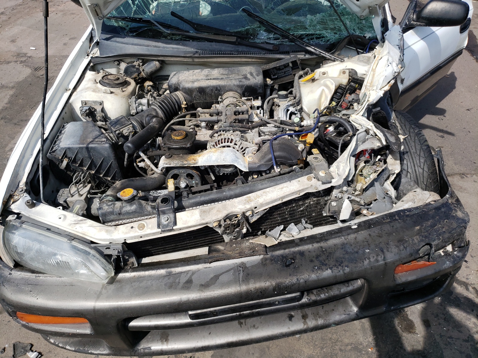Photo 7 from auction – 1998 SUBARU IMPREZA OU with VIN JF1GF4854WH805584