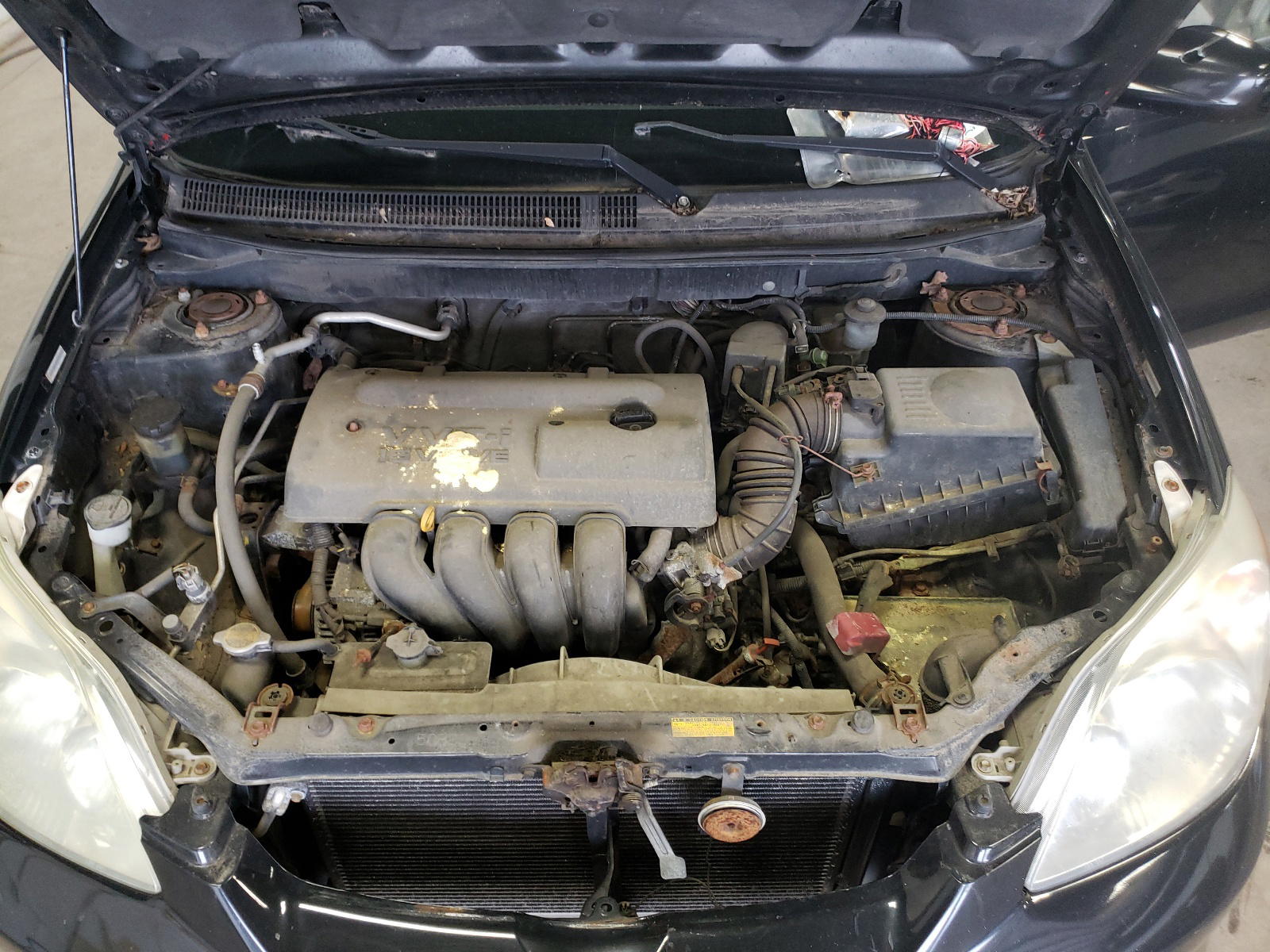 Photo 7 from auction – 2003 TOYOTA COROLLA MA with VIN 2T1KR32E23C064785
