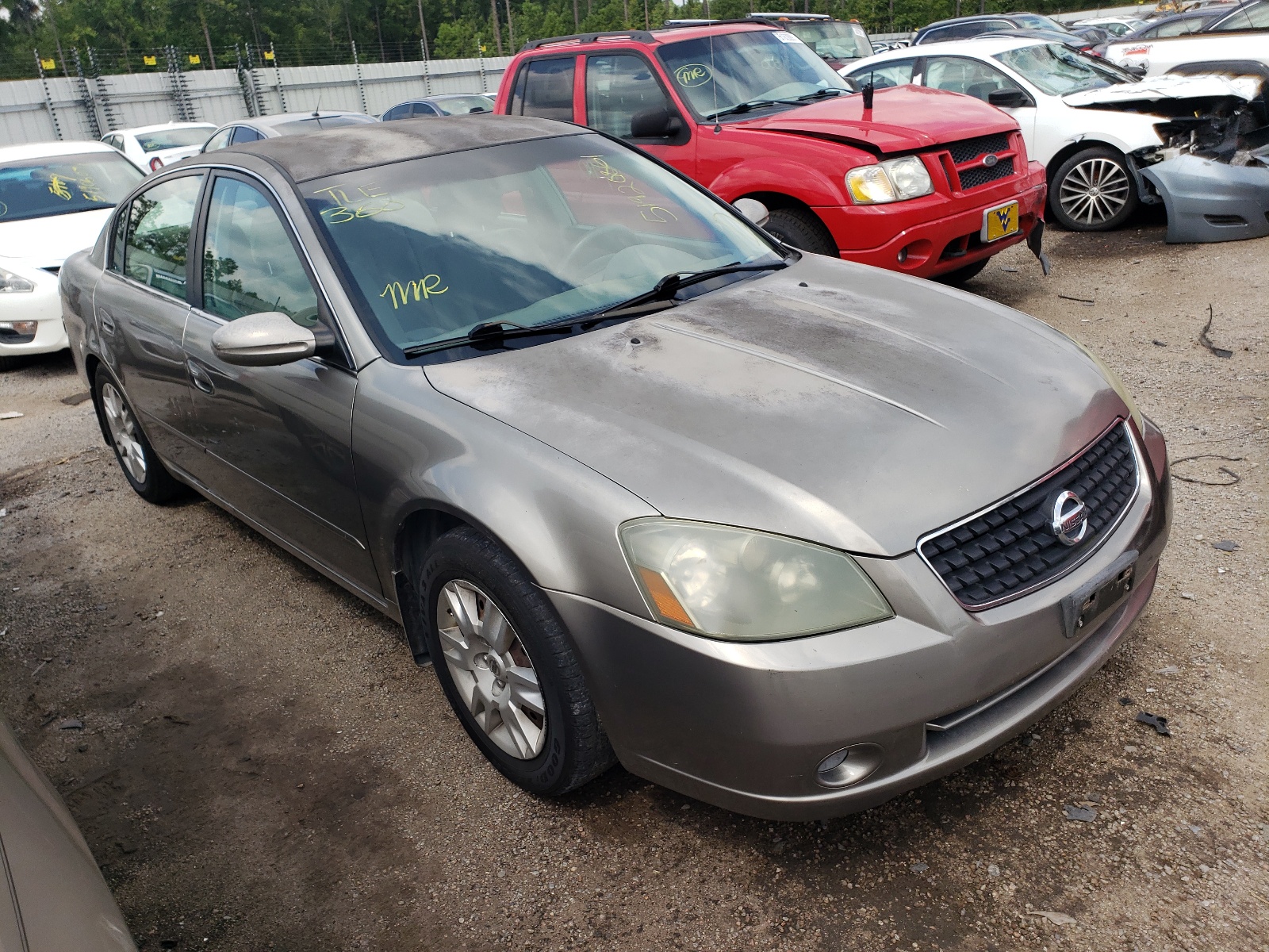 NISSAN ALTIMA S 2006 with VIN 1N4AL11D36C126627 - Photo from auction