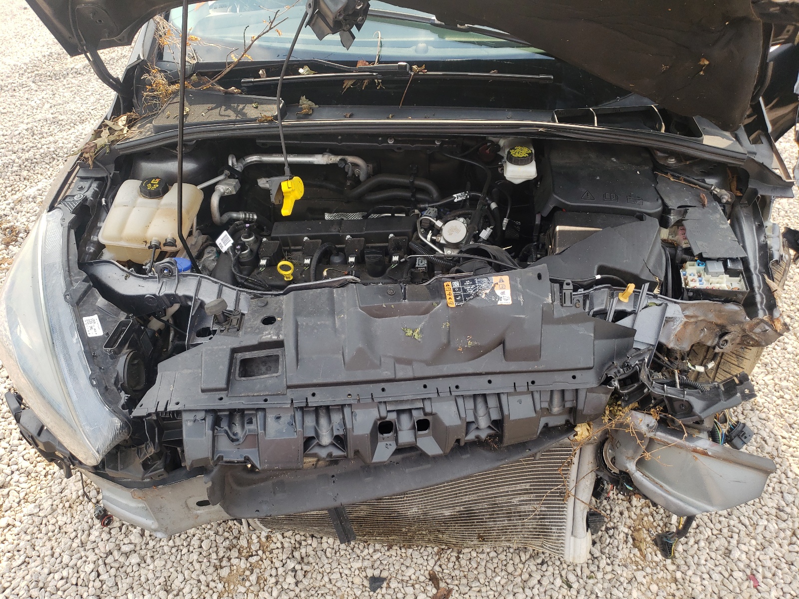 Photo 7 from auction – 2017 FORD FOCUS SEL with VIN 1FADP3M25HL282209