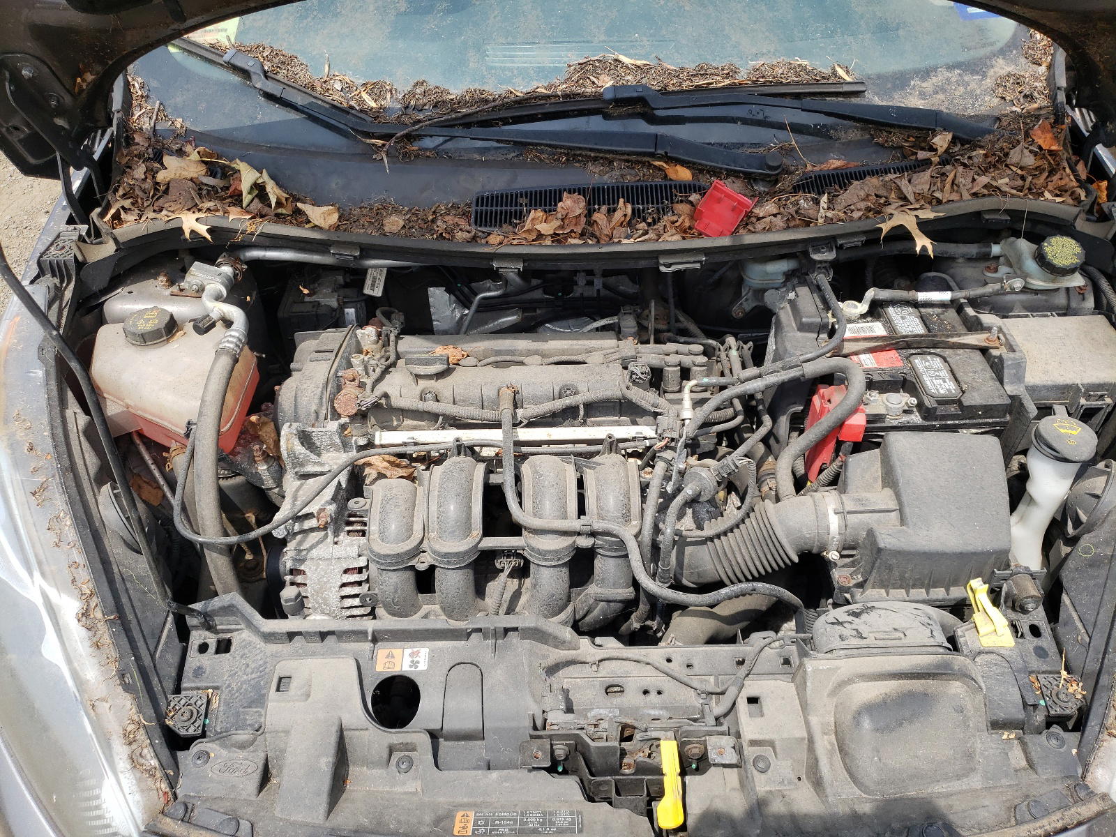 Photo 7 from auction – 2014 FORD FIESTA with VIN 3FADP4EJ1EM194666