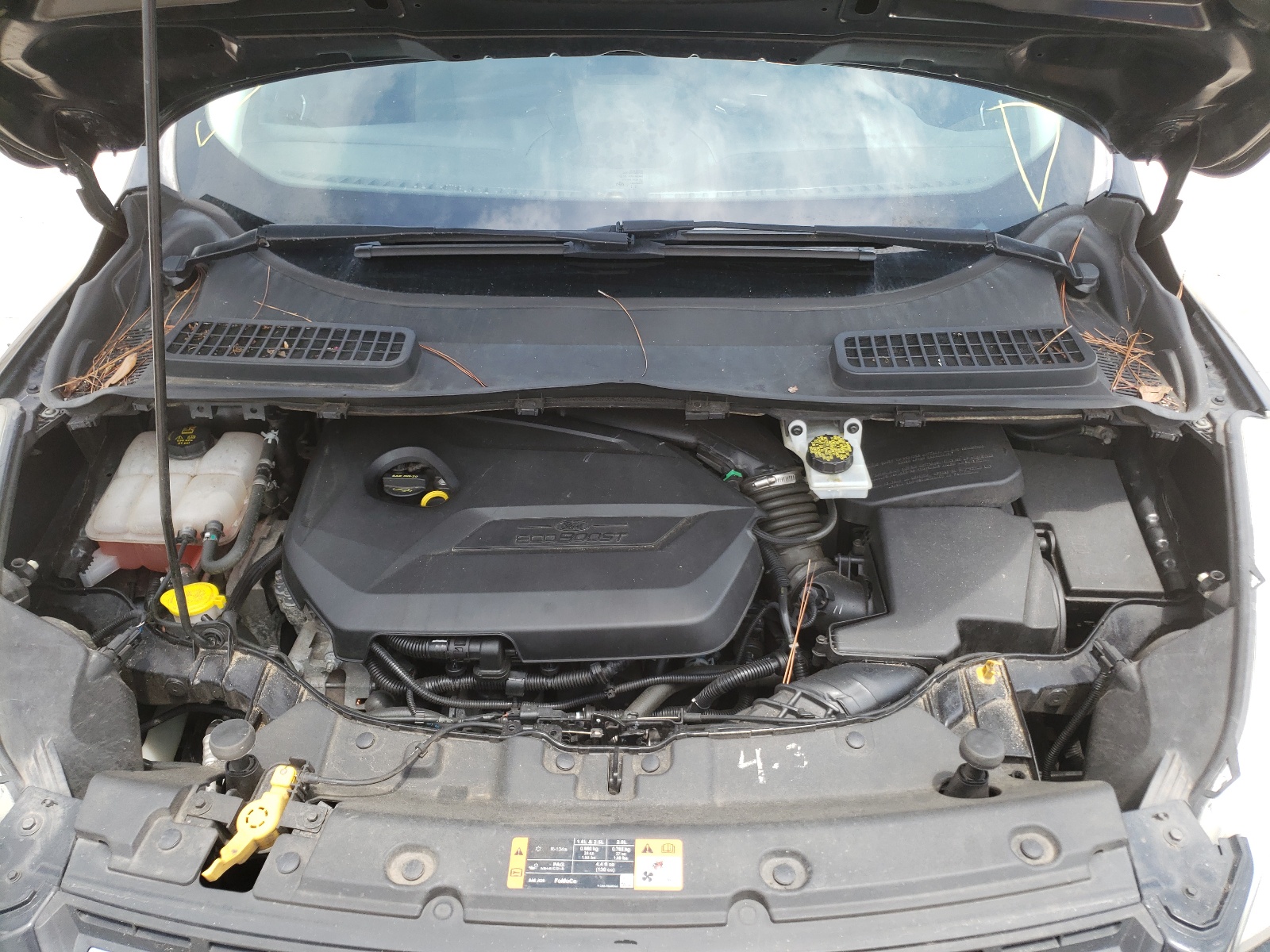 Photo 7 from auction – 2014 FORD ESCAPE SE with VIN 1FMCU9GX8EUB75424