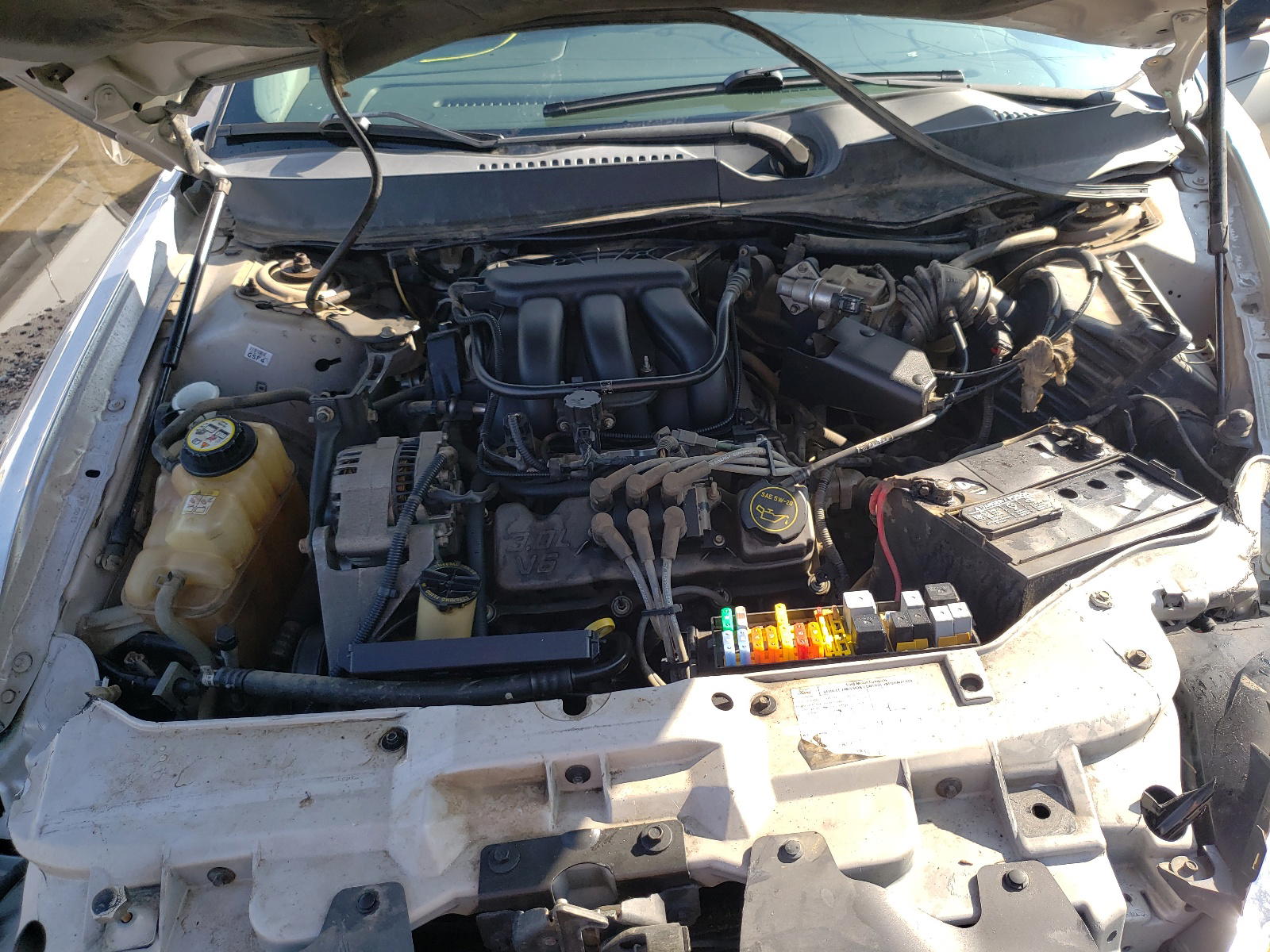 Photo 7 from auction – 2006 FORD TAURUS SEL with VIN 1FAFP56U46A192559