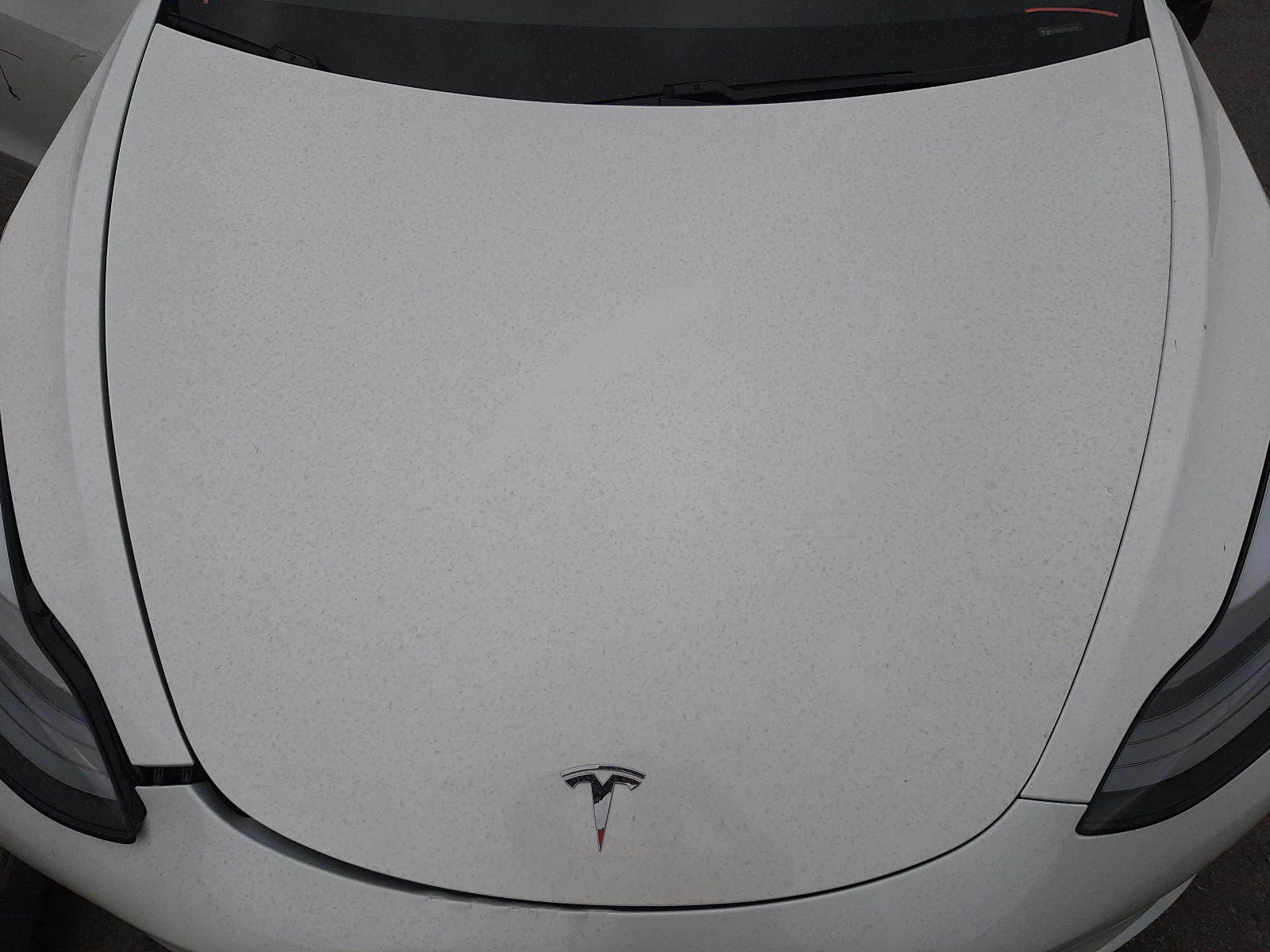 Photo 7 from auction – 2021 TESLA MODEL 3 with VIN 5YJ3E1EA1MF921592