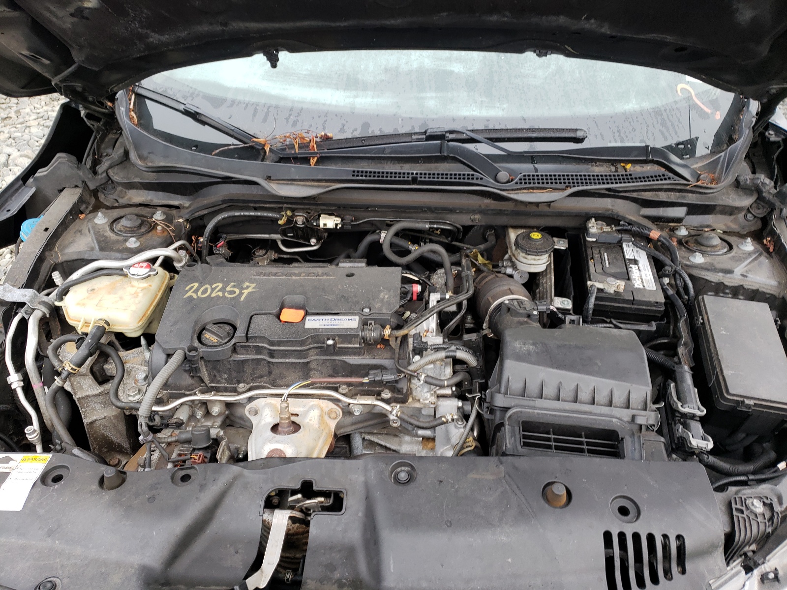Photo 7 from auction – 2016 HONDA CIVIC LX with VIN 2HGFC2F58GH524262