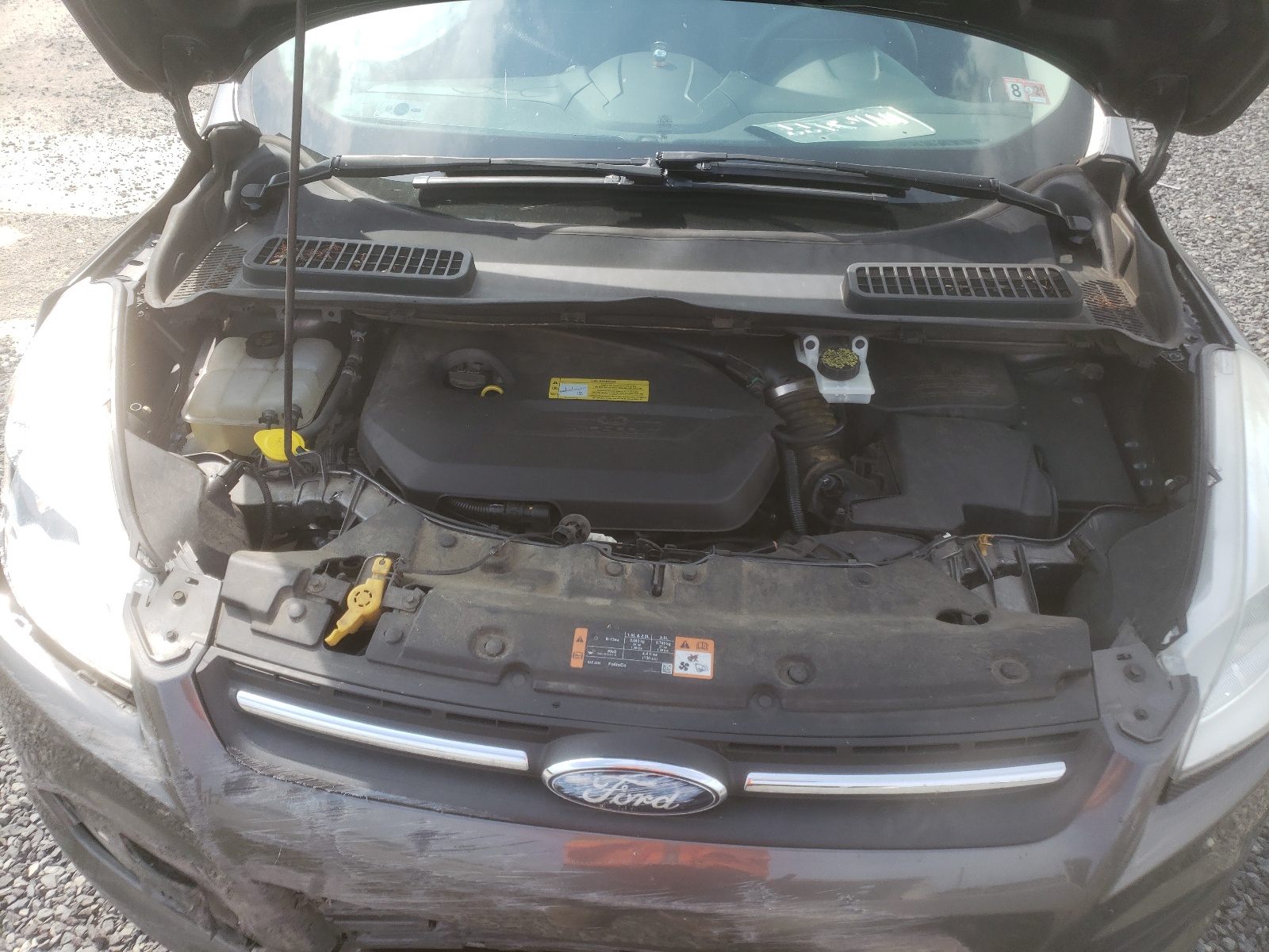 Photo 7 from auction – 2014 FORD ESCAPE SE with VIN 1FMCU9GX1EUC41473