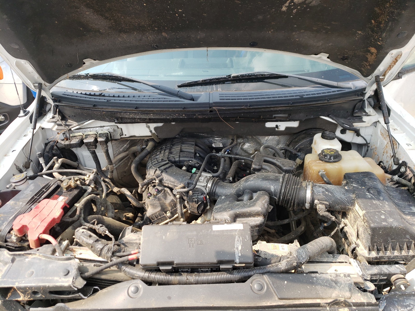 Photo 7 from auction – 2013 FORD F150 SUPER with VIN 1FTEX1CM9DFC06684