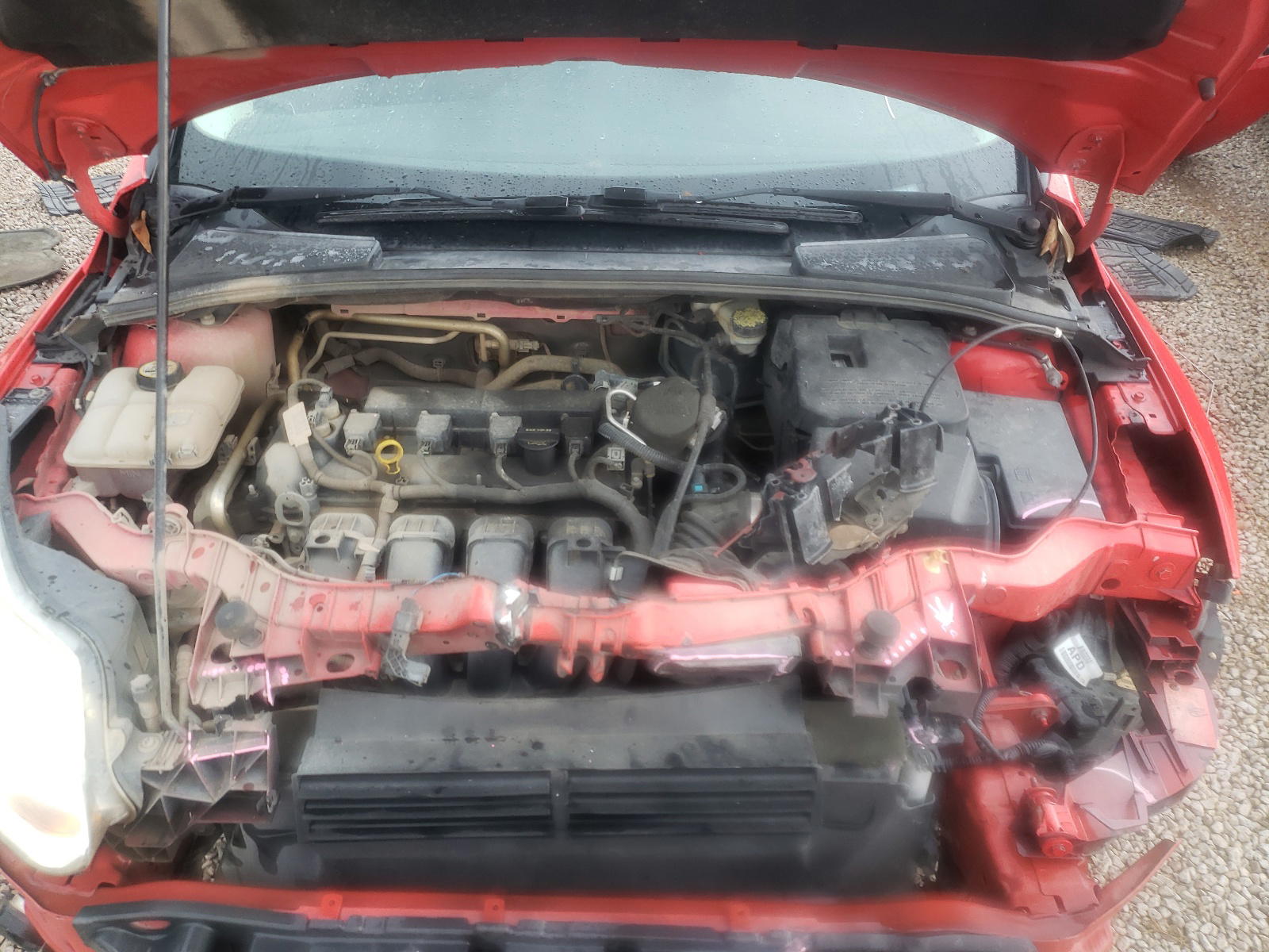 Photo 7 from auction – 2012 FORD FOCUS SEL with VIN 1FAHP3M2XCL333519