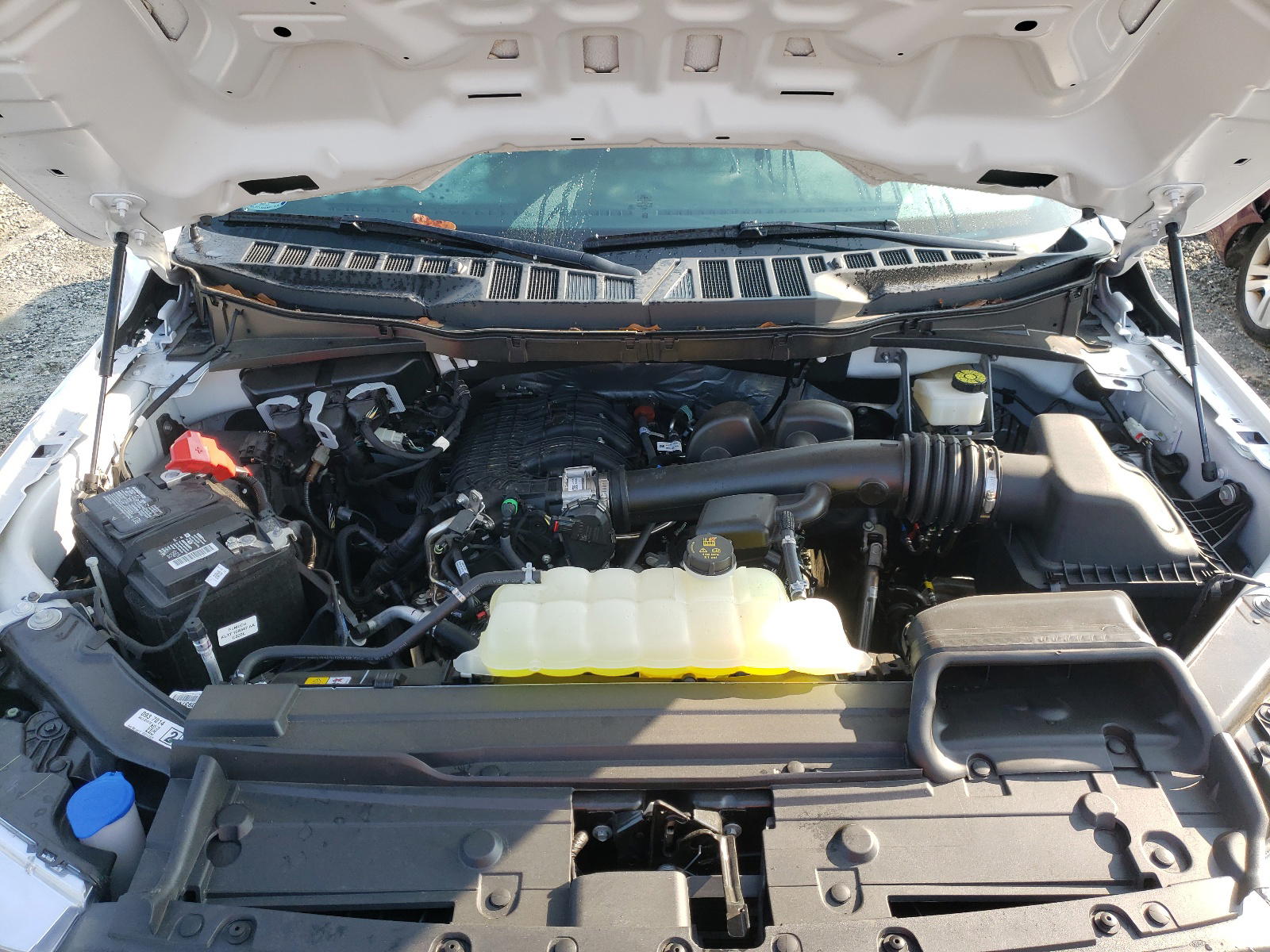 Photo 7 from auction – 2021 FORD F150 with VIN 1FTMF1CB5MKD83494