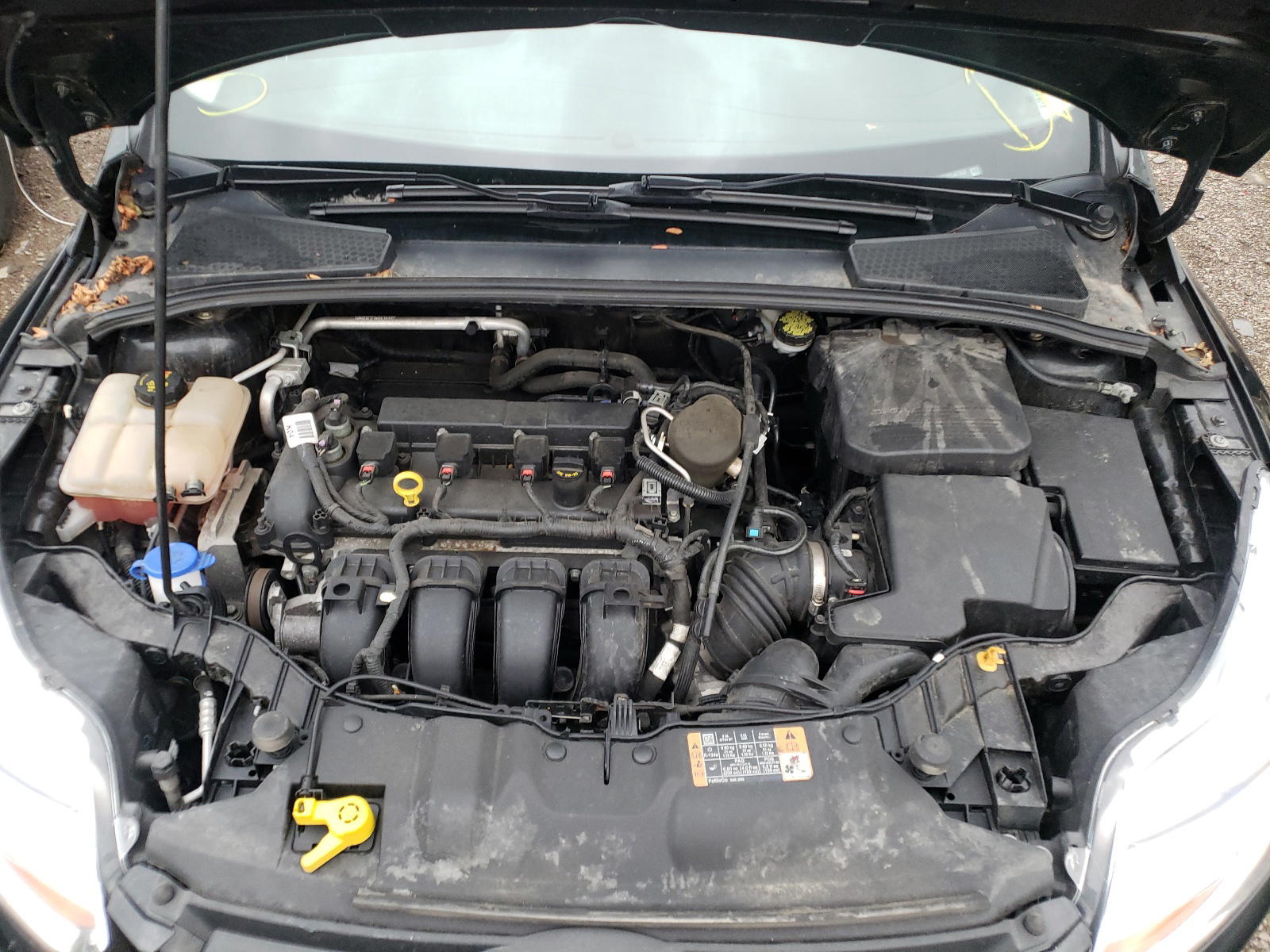 Photo 7 from auction – 2014 FORD FOCUS SE with VIN 1FADP3F22EL427523