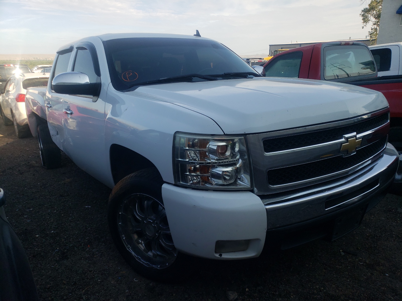 CHEVROLET SILVERADO 2009 with VIN 3GCEC23029G274068 - Photo from auction