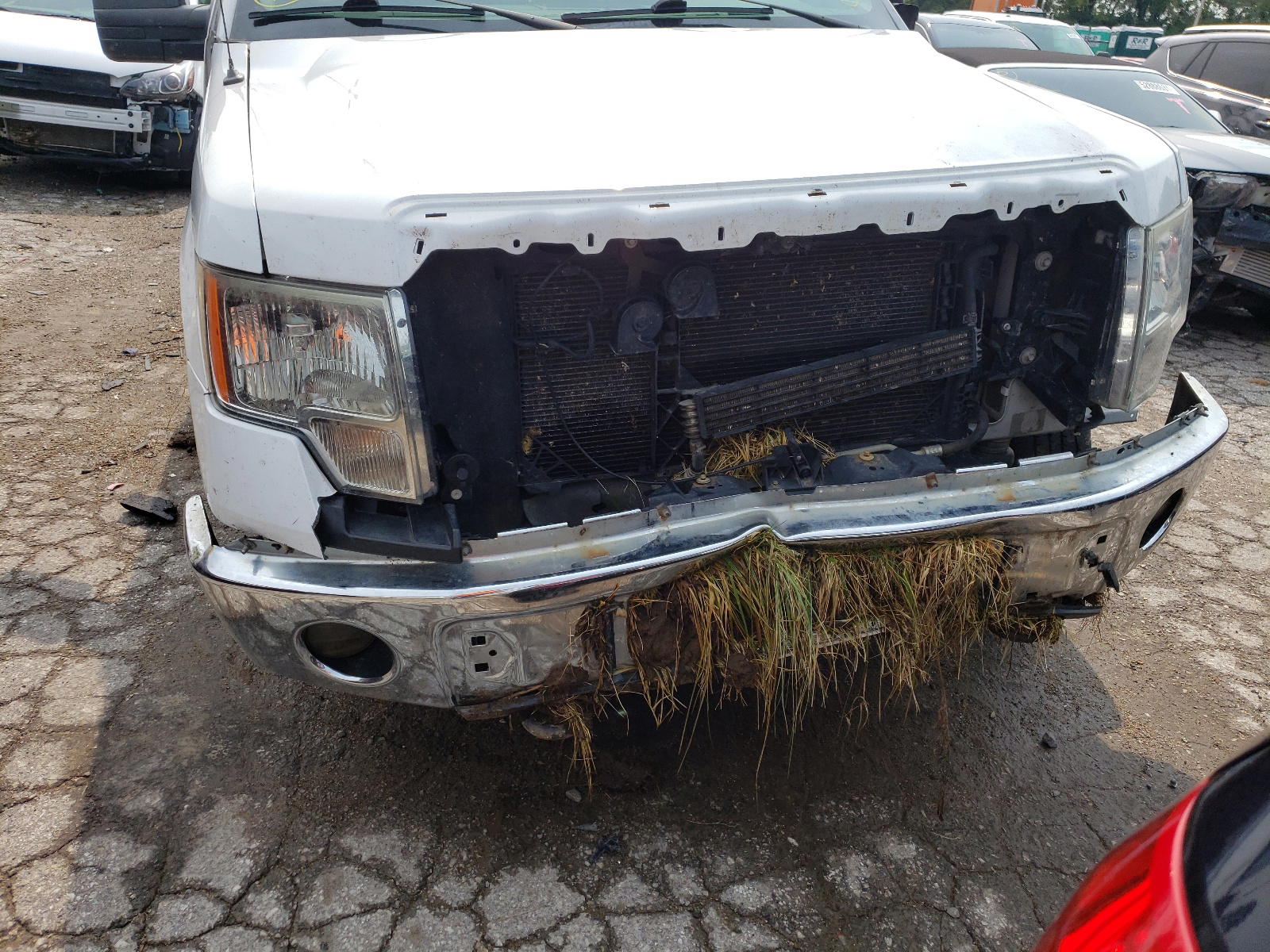 Photo 9 from auction – 2013 FORD F150 SUPER with VIN 1FTFX1EF0DKF98321