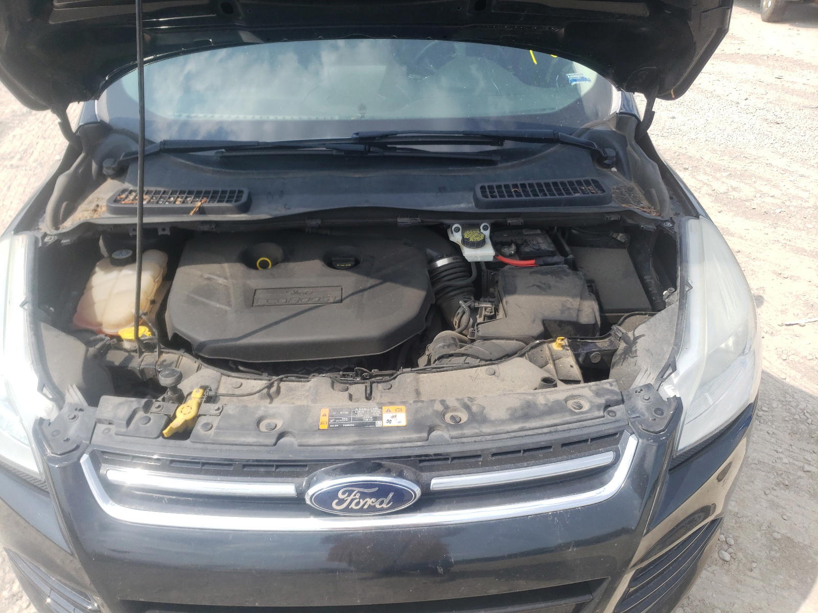 Photo 7 from auction – 2013 FORD ESCAPE SEL with VIN 1FMCU0H94DUC47858