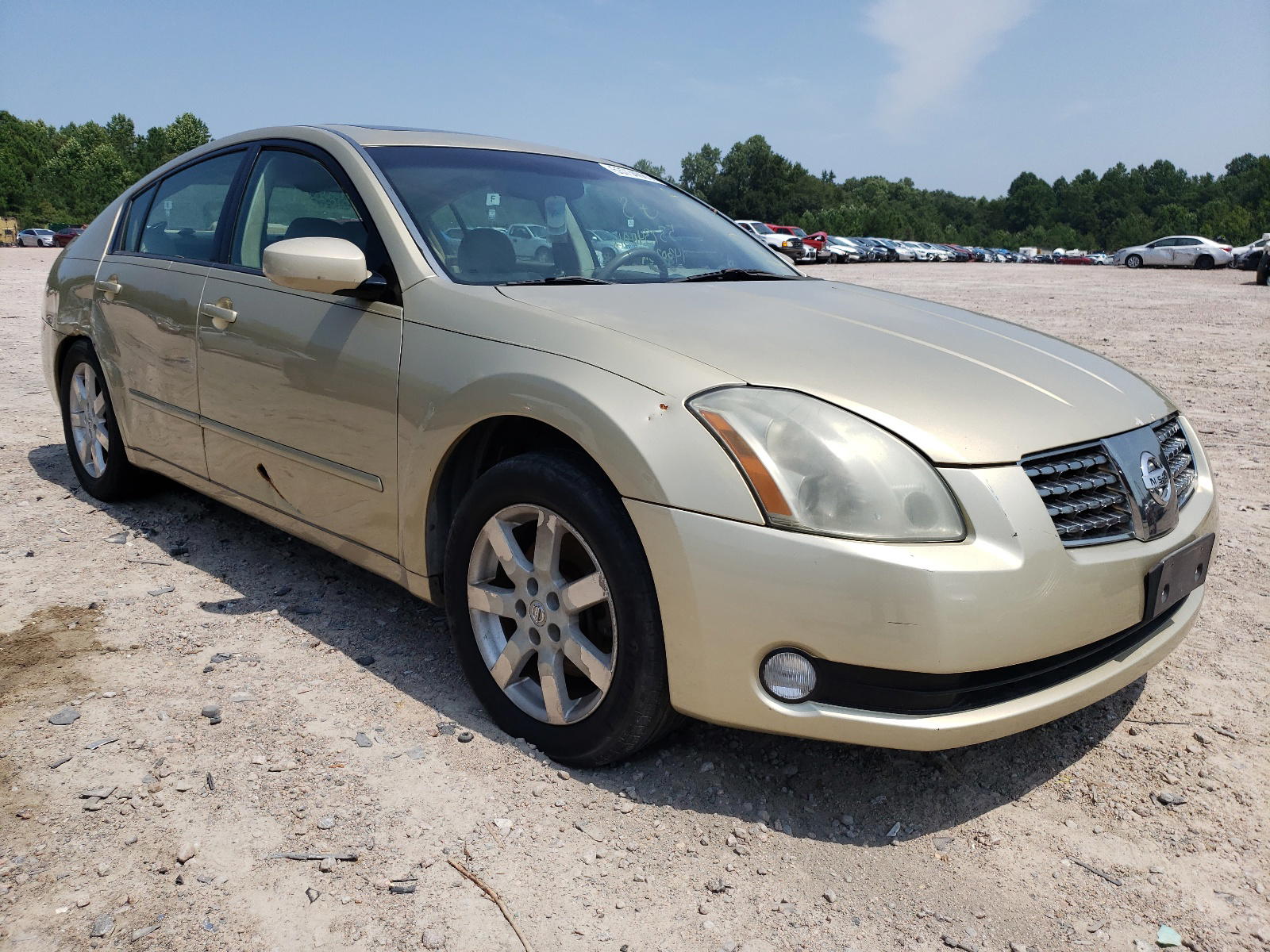 NISSAN MAXIMA SE 2004 with VIN 1N4BA41E14C800520 - Photo from auction