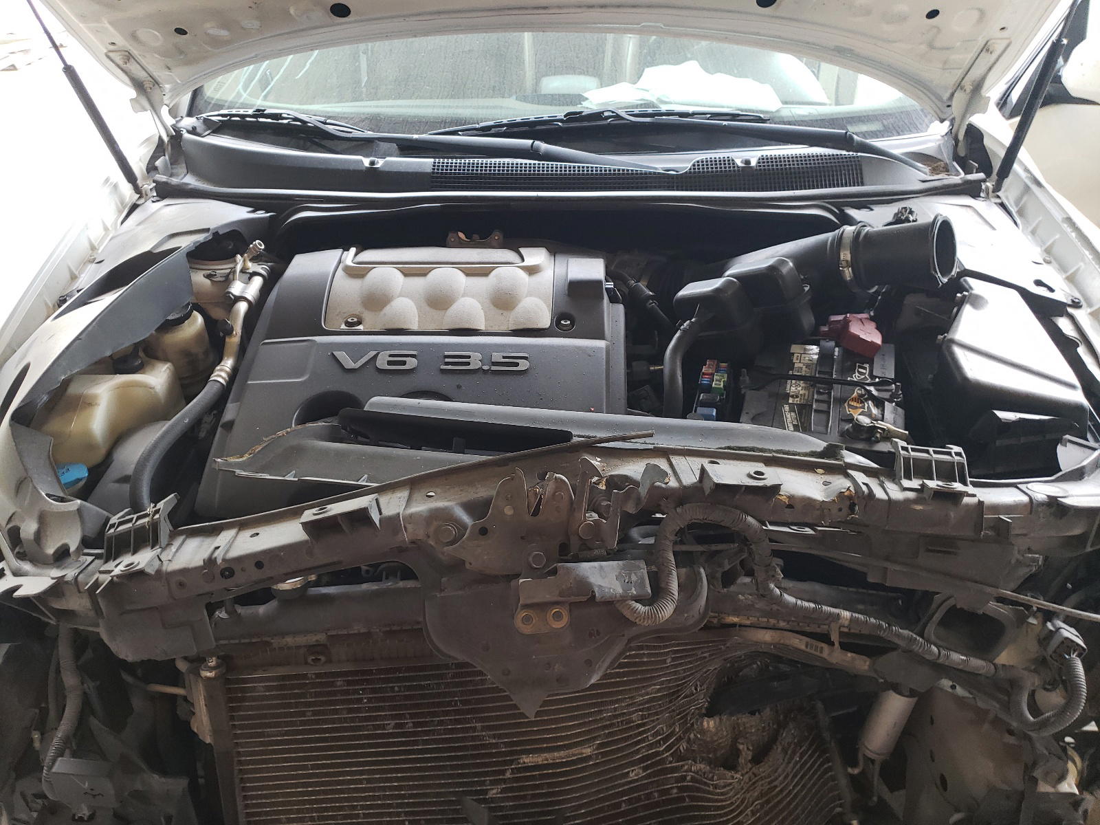 Photo 7 from auction – 2008 NISSAN MAXIMA SE with VIN 1N4BA41E38C833296