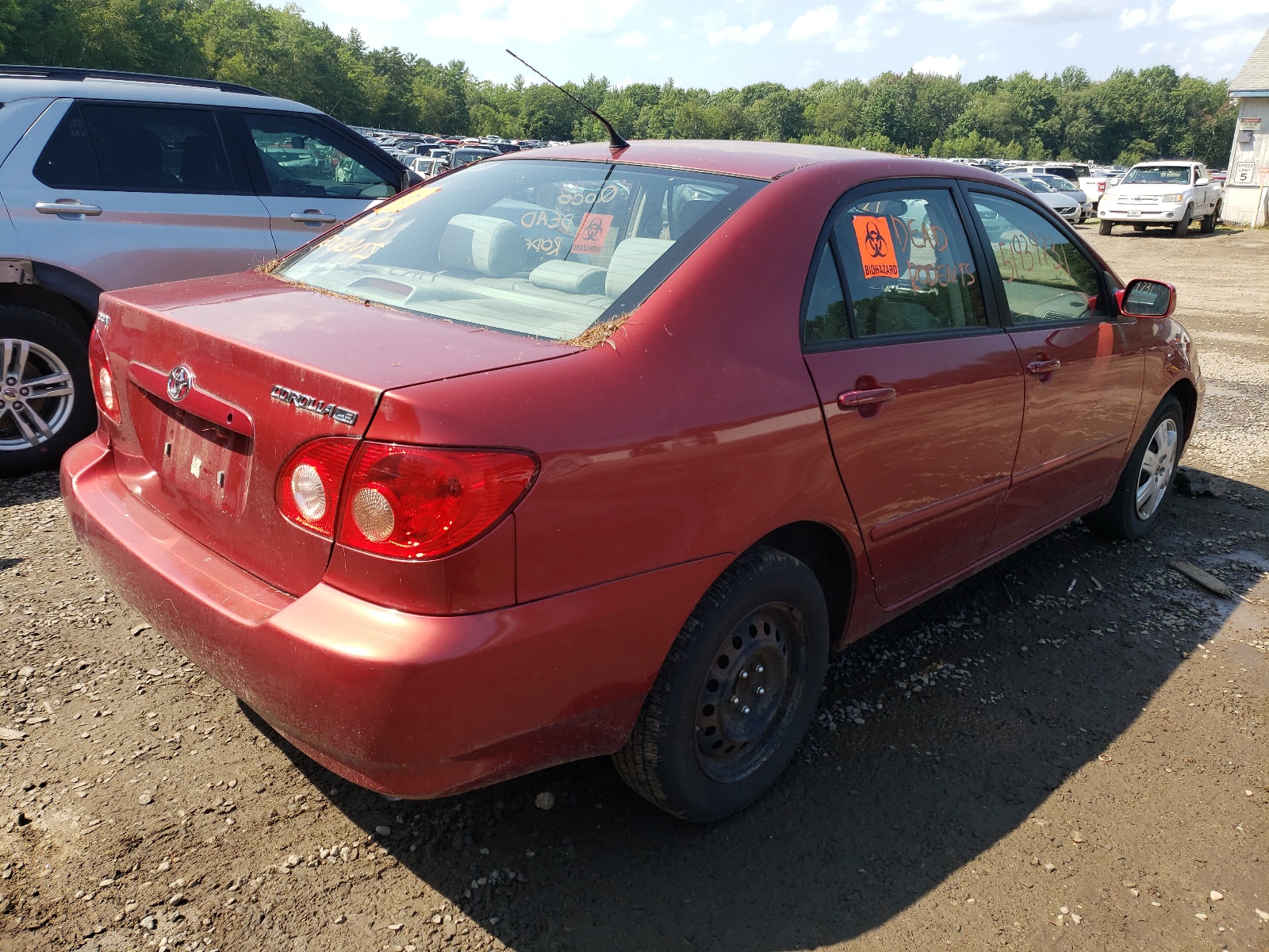 Photo 4 from auction – 2008 TOYOTA COROLLA CE with VIN 1NXBR32E78Z026538
