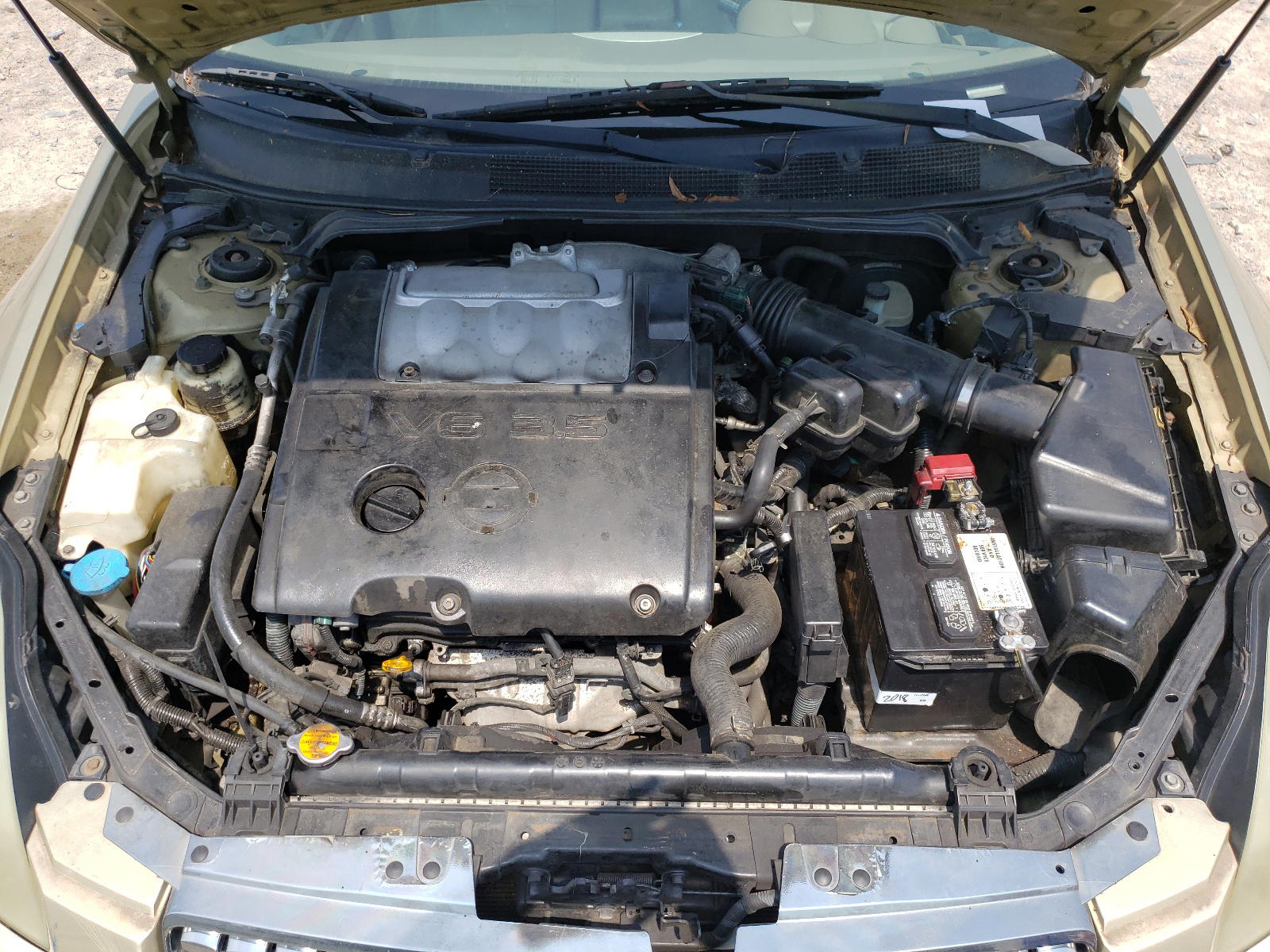Photo 7 from auction – 2004 NISSAN MAXIMA SE with VIN 1N4BA41E14C800520