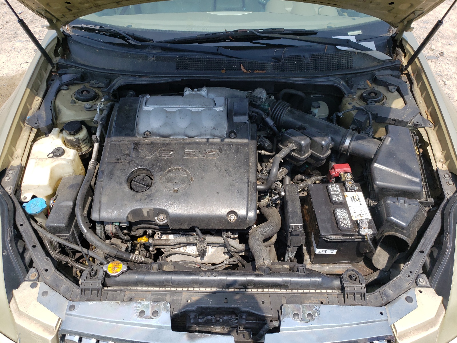 صورة رقم 7 من المزاد - 2004 NISSAN MAXIMA SE مع VIN 1N4BA41E14C800520