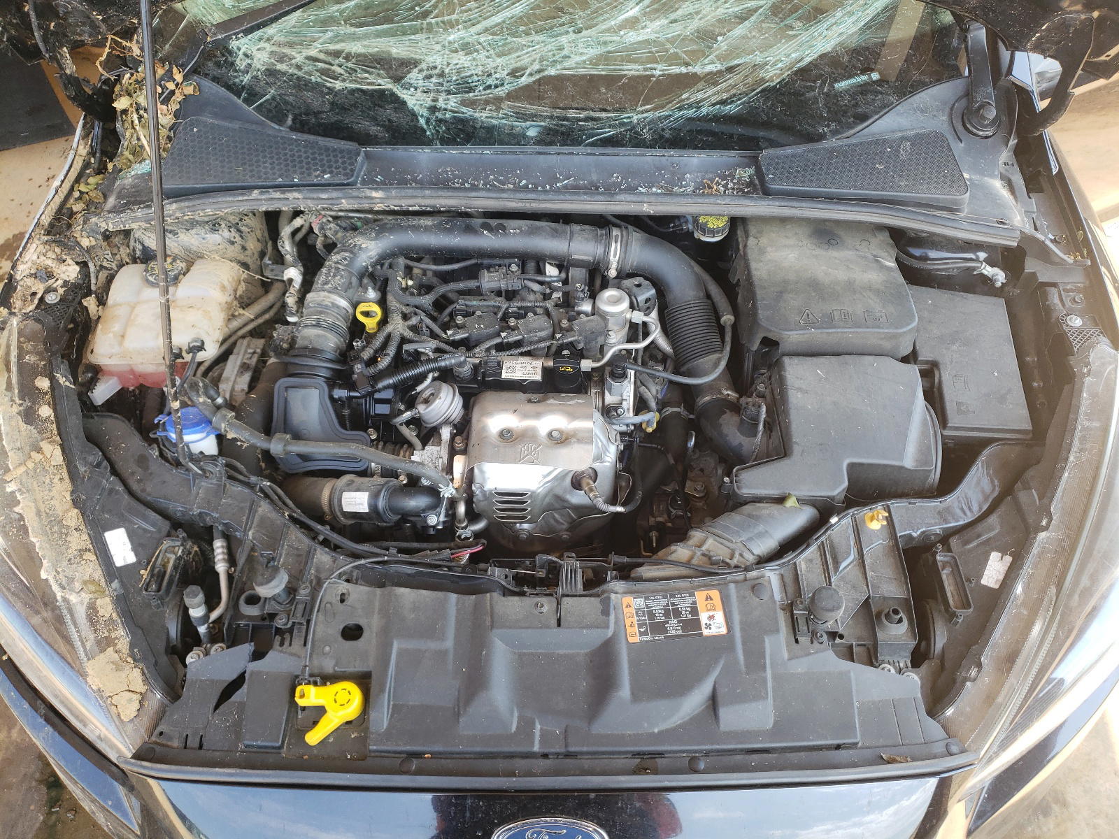Photo 7 from auction – 2016 FORD FOCUS SE with VIN 1FADP3FE2GL383312